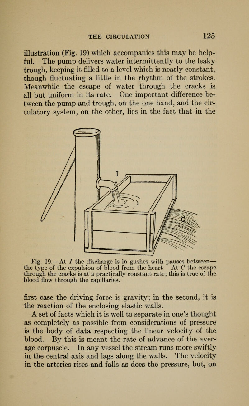 illustration (Fig. 19) which accompanies this may be help- ful. The pump delivers water intermittently to the leaky trough, keeping it filled to a level which is nearly constant, though fluctuating a little in the rhythm of the strokes. Meanwhile the escape of water through the cracks is all but uniform in its rate. One important difference be- tween the pump and trough, on the one hand, and the cir- culatory system, on the other, lies in the fact that in the Fig. 19.—At / the discharge is in gushes with pauses between— the type of the expulsion of blood from the heart. At C the escape through the cracks is at a practically constant rate; this is true of the blood flow through the capillaries. first case the driving force is gravity; in the second, it is the reaction of the enclosing elastic walls. A set of facts which it is well to separate in one's thought as completely as possible from considerations of pressure is the body of data respecting the linear velocity of the blood. By this is meant the rate of advance of the aver- age corpuscle. In any vessel the stream runs more swiftly in the central axis and lags along the walls. The velocity in the arteries rises and falls as does the pressure, but, on