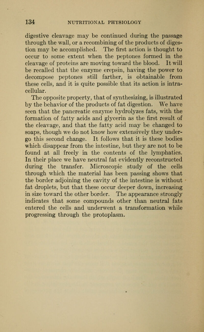 digestive cleavage may be continued during the passage through the wall, or a recombining of the products of diges- tion msiy be accomplished. The first action is thought to occur to some extent when the peptones formed in the cleavage of proteins are moving toward the blood. It will be recalled that the enzyme erepsin, having the power to decompose peptones still farther, is obtainable from these cells, and it is quite possible that its action is intra- cellular. The opposite property, that of synthesizing, is illustrated by the behavior of the products of fat digestion. We have seen that the pancreatic enzyme hydrolyzes fats, with the formation of fatty acids and glycerin as the first result of the cleavage, and that the fatty acid may be changed to soaps, though we do not know how extensively they under- go this second change. It follows that it is these bodies which disappear from the intestine, but they are not to be found at all freely in the contents of the lymphatics. In their place we have neutral fat evidently reconstructed during the transfer. Microscopic study of the cells through which the material has been passing shows that the border adjoining the cavity of the intestine is without fat droplets, but that these occur deeper down, increasing in size toward the other border. The appearance strongly indicates that some compounds other than neutral fats entered the cells and underwent a transformation while progressing through the protoplasm.