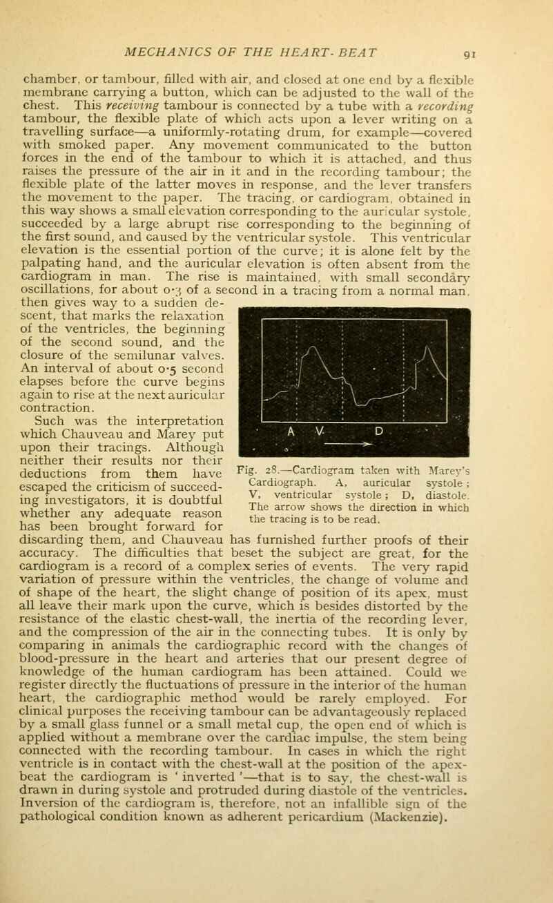 chamber, or tambour, filled with air, and closed at one end by a flexible membrane carrying a button, which can be adjusted to the wall of the chest. This receiving tambour is connected by a tube with a recording tambour, the flexible plate of which acts upon a lever writing on a travelling surface—a uniformly-rotating drum, for example—covered with smoked paper. Any movement communicated to the button forces in the end of the tambour to which it is attached, and thus raises the pressure of the air in it and in the recording tambour; the flexible plate of the latter moves in response, and the lever transfers the movement to the paper. The tracing, or cardiogram, obtained in this way shows a small elevation corresponding to the auricular systole, succeeded by a large abrupt rise corresponding to the beginning of the first sound, and caused by the ventricular systole. This ventricular elevation is the essential portion of the curve; it is alone felt by the palpating hand, and the auricular elevation is often absent from the cardiogram in man. The rise is maintained, with small secondary oscillations, for about o-;5 of a second in a tracing from a normal man, then gives way to a sudden de- scent, that marks the relaxation of the ventricles, the beginning of the second sound, and the closure of the semilunar valves. An interval of about 0-5 second elapses before the curve begins again to rise at the next auricukir contraction. Such was the interpretation which Chauveau and Marey put upon their tracings. Although neither their results nor their deductions from them have ^^S- 28,—Cardiogram taken with Marey's escaped the criticism of succeed- Cardiograph. A, auricular systole; ing investigators, it is doubtful 1: ventricular systole; D. diastole. whether anv adeauate reason ^^^ ^°''' ^^^^^ ^^^ direction in which wnetner any aaequate reason ^j^^ tracing is to be read, has been brought forward for discarding them, and Chauveau has furnished further proofs of their accuracy. The difficulties that beset the subject are great, for the cardiogram is a record of a complex series of events. The very rapid variation of pressure within the ventricles, the change of volume and of shape of the heart, the slight change of position of its apex, must all leave their mark upon the curve, which is besides distorted by the resistance of the elastic chest-wall, the inertia of the recording lever, and the compression of the air in the connecting tubes. It is only by comparing in animals the cardiographic record with the changes of blood-pressure in the heart and arteries that our present degree of knowledge of the human cardiogram has been attained. Could we register directly the fluctuations of pressure in the interior of the human heart, the cardiographic method would be rarely employed. For clinical purposes the receiving tambour can be advantageously replaced by a small glass funnel or a small metal cup, the open end of which is applied without a membrane over the cardiac impulse, the stem being connected with the recording tambour. In cases in which the right ventricle is in contact with the chest-wall at the position of the apex- beat the cardiogram is ' inverted '—that is to say, the chest-wall is drawn in during systole and protruded during diastole of the ventricles. Inversion of the cardiogram is, therefore, not an infallible sign of the pathological condition known as adherent pericardium (Mackenzie).
