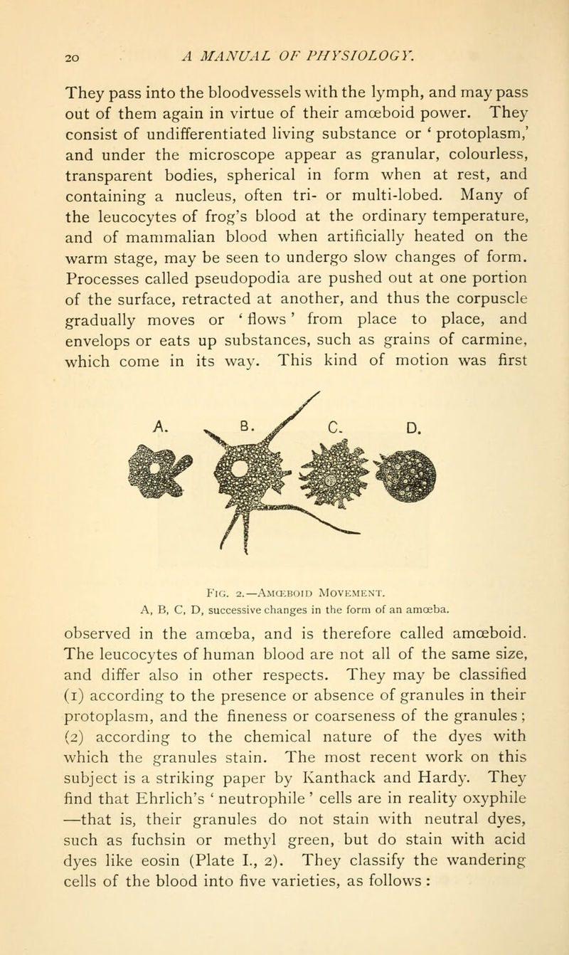 They pass into the bloodvessels with the lymph, and may pass out of them again in virtue of their amoeboid power. They consist of undifferentiated living substance or ' protoplasm/ and under the microscope appear as granular, colourless, transparent bodies, spherical in form when at rest, and containing a nucleus, often tri- or multi-lobed. Many of the leucocytes of frog's blood at the ordinary temperature, and of mammalian blood when artificially heated on the warm stage, may be seen to undergo slow changes of form. Processes called pseudopodia are pushed out at one portion of the surface, retracted at another, and thus the corpuscle gradually moves or ' flows ' from place to place, and envelops or eats up substances, such as grains of carmine, which come in its way. This kind of motion was first P'iG. 2.—AMa:BoiD Movement. A, B, C, D, successive changes in the form of an amoeba. observed in the amceba, and is therefore called amoeboid. The leucocytes of human blood are not all of the same size, and differ also in other respects. They may be classified (i) according to the presence or absence of granules in their protoplasm, and the fineness or coarseness of the granules; (2) according to the chemical nature of the dyes with which the granules stain. The most recent work on this subject is a striking paper by Kanthack and Hardy. They find that Ehrlich's ' neutrophile' cells are in reality oxyphile —that is, their granules do not stain with neutral dyes, such as fuchsin or methyl green, but do stain with acid dyes like eosin (Plate I., 2). They classify the wandering cells of the blood into five varieties, as follows :