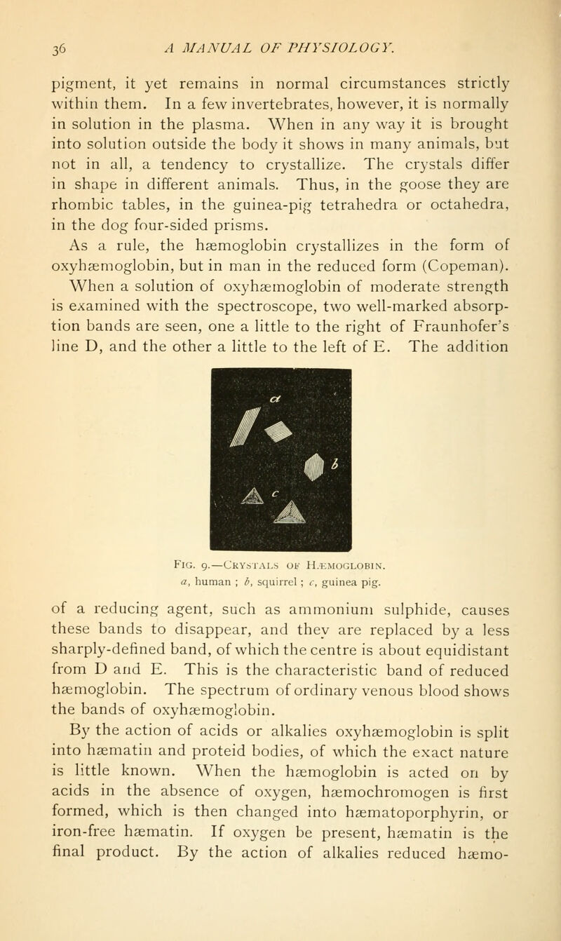 pigment, it yet remains in normal circumstances strictly within them. In a few invertebrates, however, it is normally in solution in the plasma. When in any way it is brought into solution outside the body it shows in many animals, but not in all, a tendency to crystallize. The crystals differ in shape in different animals. Thus, in the goose they are rhombic tables, in the guinea-pig tetrahedra or octahedra, in the dog four-sided prisms. As a rule, the haemoglobin cr3'stallizes in the form of oxyhsemoglobin, but in man in the reduced form (Copeman). When a solution of oxyhaemoglobin of moderate strength is examined with the spectroscope, two well-marked absorp- tion bands are seen, one a little to the right of Fraunhofer's line D, and the other a little to the left of E, The addition Fig. 9.—Ckystals of H.kmoglobin. a, human ; b, squirrel; r, guinea pig. of a reducing agent, such as ammonium sulphide, causes these bands to disappear, and they are replaced by a less sharply-defined band, of which the centre is about equidistant from D and E. This is the characteristic band of reduced haemoglobin. The spectrum of ordinary venous blood shows the bands of oxyhaemoglobin. By the action of acids or alkalies oxyhaemoglobin is split into haematin and proteid bodies, of which the exact nature is little known. When the haemoglobin is acted on by acids in the absence of oxygen, heemochromogen is first formed, which is then changed into haematoporphyrin, or iron-free haematin. If oxygen be present, haematin is the final product. By the action of alkalies reduced hasmo-