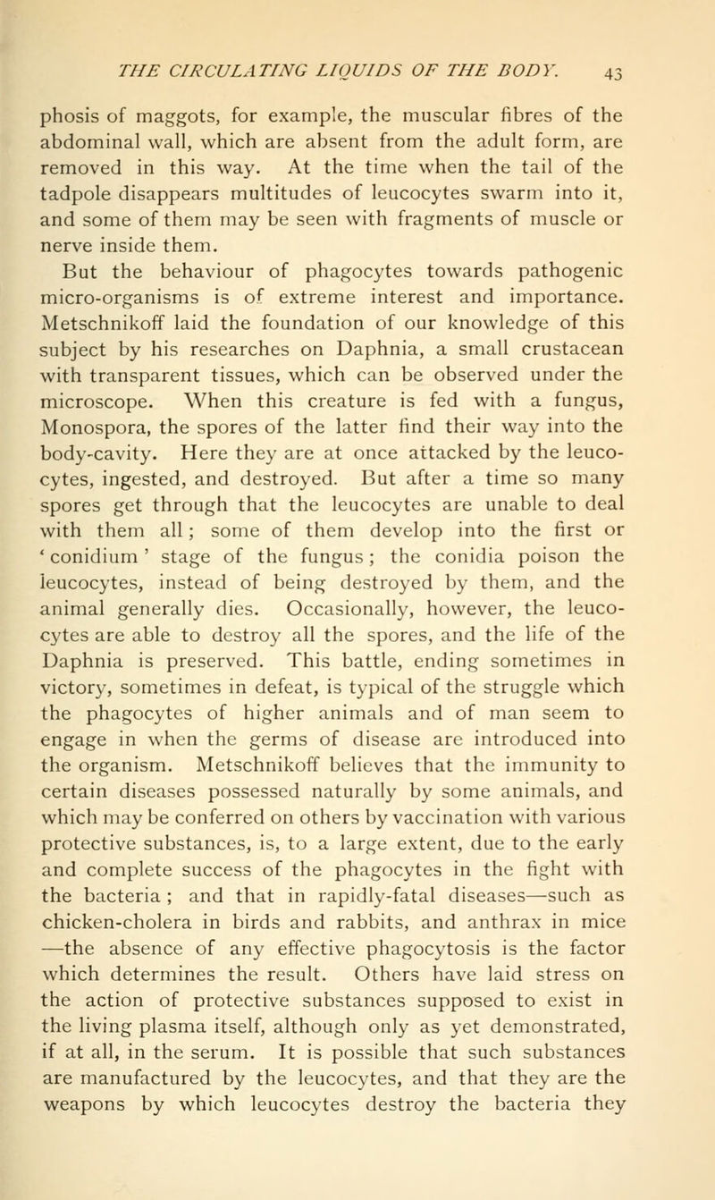 phosis of maggots, for example, the muscular fibres of the abdominal wall, which are absent from the adult form, are removed in this way. At the time when the tail of the tadpole disappears multitudes of leucocytes swarm into it, and some of them may be seen with fragments of muscle or nerve inside them. But the behaviour of phagocytes towards pathogenic micro-organisms is of extreme interest and importance. Metschnikoff laid the foundation of our knowledge of this subject by his researches on Daphnia, a small crustacean with transparent tissues, which can be observed under the microscope. When this creature is fed with a fungus, Monospora, the spores of the latter find their way into the body-cavity. Here they are at once attacked by the leuco- cytes, ingested, and destroyed. But after a time so many spores get through that the leucocytes are unable to deal with them all; some of them develop into the first or ' conidium ' stage of the fungus; the conidia poison the leucocytes, instead of being destroyed by them, and the animal generally dies. Occasionally, however, the leuco- cytes are able to destroy all the spores, and the life of the Daphnia is preserved. This battle, ending sometimes in victory, sometimes in defeat, is typical of the struggle which the phagocytes of higher animals and of man seem to engage in when the germs of disease are introduced into the organism. Metschnikoff believes that the immunity to certain diseases possessed naturally by some animals, and which may be conferred on others by vaccination with various protective substances, is, to a large extent, due to the early and complete success of the phagocytes in the fight with the bacteria ; and that in rapidly-fatal diseases—such as chicken-cholera in birds and rabbits, and anthrax in mice —the absence of any effective phagocytosis is the factor which determines the result. Others have laid stress on the action of protective substances supposed to exist in the living plasma itself, although only as yet demonstrated, if at all, in the serum. It is possible that such substances are manufactured by the leucocytes, and that they are the weapons by which leucocytes destroy the bacteria they