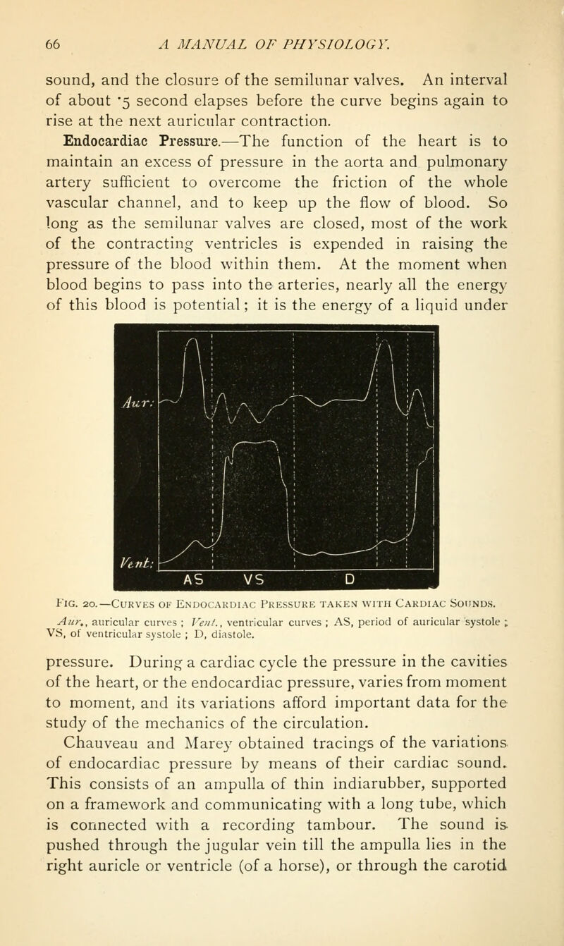 sound, and the closure of the semikinar valves. An interval of about 5 second elapses before the curve begins again to rise at the next auricular contraction. Endocardiac Pressure.—The function of the heart is to maintain an excess of pressure in the aorta and pulmonary artery sufficient to overcome the friction of the whole vascular channel, and to keep up the flow of blood. So long as the semilunar valves are closed, most of the work of the contracting ventricles is expended in raising the pressure of the blood within them. At the moment when blood begins to pass into the arteries, nearly all the energy of this blood is potential; it is the energy of a liquid under \ '.! ■ V \ J ; ^ 1 Aur: 1 ^ r\r \ ^ i H \ f' V ; : / 1 1, 1 1 i i ■ ;l '■■J y^^^~< V _^^ ~^~^\ Vtnt:\ K \ >~-_--^ AS VS D Fig. 2o.—CURVE.S ok Endocakdi.\c Pressure takem with Cardiac Sound.s. Aur., auricular curves ; Vent., ventricular curves ; AS, period of auricular systole ; VS, of ventricular systole ; D, diastole. pressure. During a cardiac cycle the pressure in the cavities of the heart, or the endocardiac pressure, varies from moment to moment, and its variations afford important data for the study of the mechanics of the circulation. Chauveau and Marey obtained tracings of the variations of endocardiac pressure by means of their cardiac sound. This consists of an ampulla of thin indiarubber, supported on a framework and communicating with a long tube, which is connected with a recording tambour. The sound is pushed through the jugular vein till the ampulla lies in the right auricle or ventricle (of a horse), or through the carotid