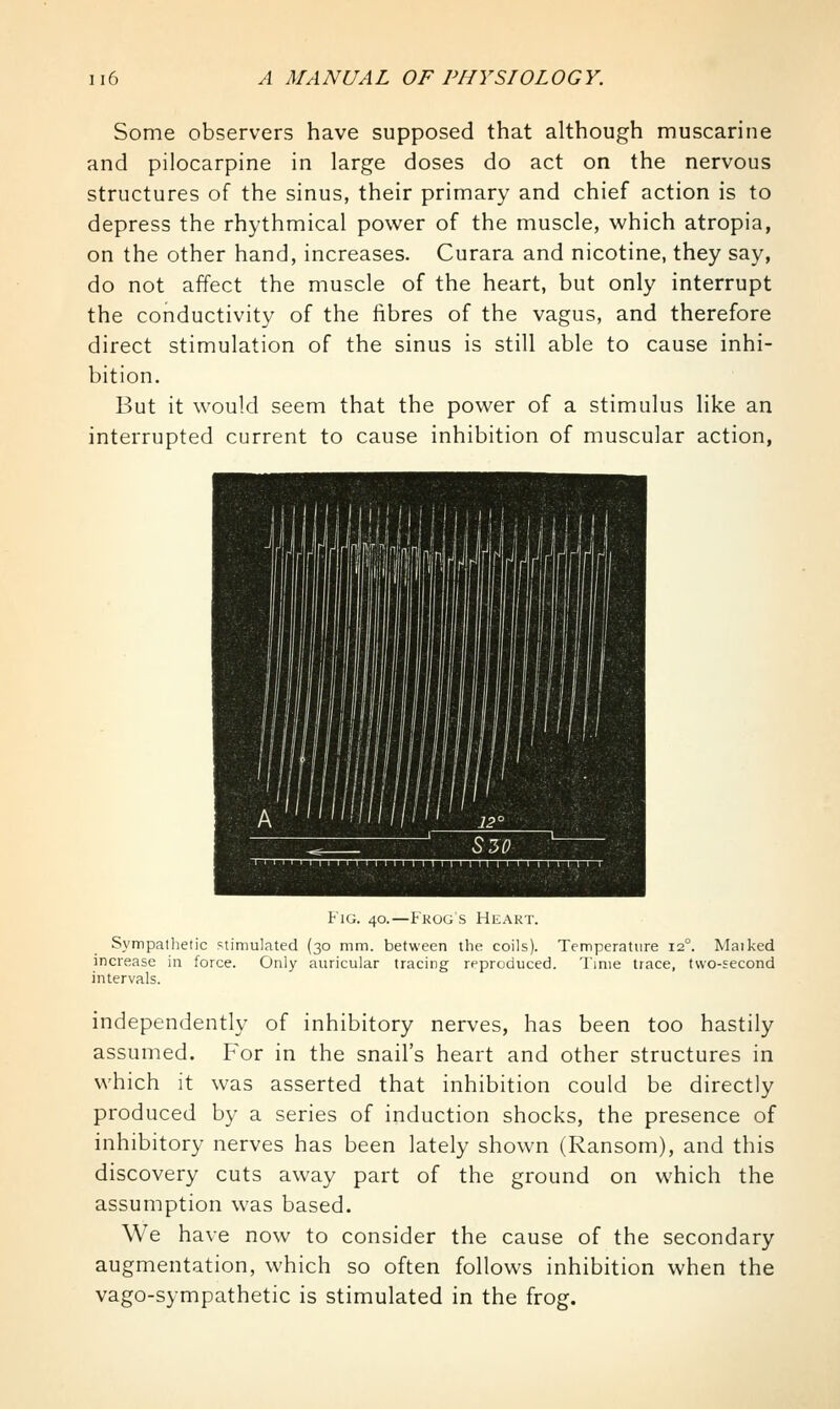 Some observers have supposed that although muscarine and pilocarpine in large doses do act on the nervous structures of the sinus, their primary and chief action is to depress the rhythmical power of the muscle, which atropia, on the other hand, increases. Curara and nicotine, they say, do not affect the muscle of the heart, but only interrupt the conductivity of the fibres of the vagus, and therefore direct stimulation of the sinus is still able to cause inhi- bition. But it would seem that the power of a stimulus like an interrupted current to cause inhibition of muscular action, Fig. 40.—Fkog s Heart. Sympathetic stimulated (30 mm. between the coils). Temperature 12°. Maiked increase in force. Only auricular tracing reproduced. Time trace, two-second intervals. independently of inhibitory nerves, has been too hastily assumed. For in the snail's heart and other structures in which it was asserted that inhibition could be directly produced by a series of induction shocks, the presence of inhibitory nerves has been lately shown (Ransom), and this discovery cuts away part of the ground on which the assumption was based. We have now to consider the cause of the secondary augmentation, which so often follows inhibition when the vago-sympathetic is stimulated in the frog.