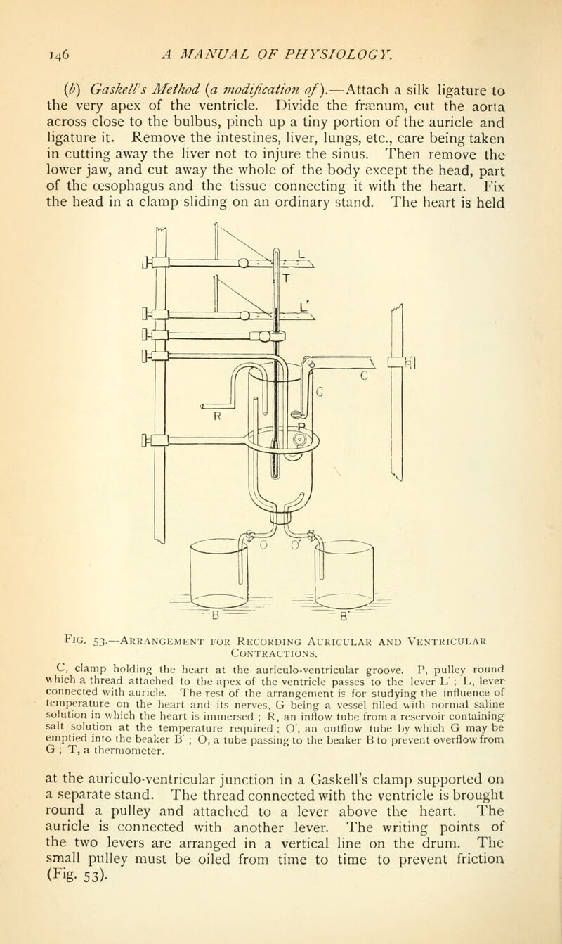 {b) Gaskell's Method (a modification of).—Attach a silk ligature to the very apex of the ventricle. Divide the fraenum, cut the aoria across close to the bulbus, pinch up a tiny portion of the auricle and ligature it. Remove the intestines, liver, lungs, etc., care being taken in cutting away the liver not to injure the sinus. Then remove the lower jaw, and cut away the whole of the body except the head, part of the oesophagus and the tissue connecting it with the heart. Fix the head in a clamp sliding on an ordinary stand. The heart is held Kl F^<^- 53-—Arkangemknt for Recording Auricular and Vkntricular Contractions. C, clamp holding the heart at tlie auriculo-ventricular groove. I', pulley round which a thread attached to the apex of the ventricle passes to the lever L ; 1., lever connected with auricle. The rest of the arrangement is for studying the influence of temperature on the heart and its nerves, G being a vessel filled with normal saline solution in which the heart is immersed ; R, an inflow tube from a reservoir containing salt solution at the temperature required ; O', an outflow tube by which G may be emptied into the beaker B' ; O, a tube passing to the beaker B to prevent overflow from G ; T, a thermometer. at the auriculo-ventricular junction in a Gaskell's clamp supported on a separate stand. The thread connected with the ventricle is brought round a pulley and attached to a lever above the heart. The auricle is connected with another lever. The writing points of the two levers are arranged in a vertical line on the drum. The small pulley must be oiled from time to time to prevent friction (Fig- 53)-