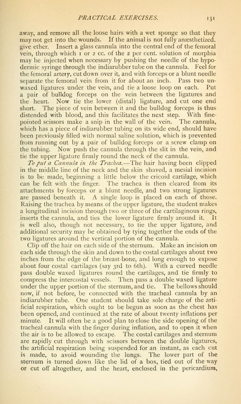 away, and remove all the loose hairs with a wet sponge so that they may not get into the wounds. If the animal is not fully anaesthetized, give ether. Insert a glass cannula into the central end of the femoral vein, through which i or 2 cc. of the 2 per cent, solution of morphia may be injected when necessary by pushing the needle of the hypo- dermic syringe through the indiarubber tube on the cannula. Feel for the femoral artery, cut down over it, and with forceps or a blunt needle separate the femoral vein from it for about an inch. Pass two un- waxed ligatures under the vein, and tie a loose loop on each. Put a pair of bulldog forceps on the vein between the ligatures and the heart. Now tie the lower (distal) ligature, and cut one end short. The piece of vein between it and the bulldog forceps is thus distended with blood, and this facilitates the next step. With fine- pointed scissors make a snip in the wall of the vein. The cannula, which has a piece of indiarubber tubing on its wide end, should have been previously filled with normal saline solution, which is prevented from running out by a pair of bulldog forceps or a screw clamp on the tubing. Now push the cannula through the slit in the vein, and tie the upper ligature firmly round the neck of the cannula. To put a Cannula in the Trachea.—The hair having been clipped in the middle line of the neck and the skin shaved, a mesial incision is to be made, beginning a little below the cricoid cartilage, which can be felt with the finger. The trachea is then cleared from its attachments by forceps or a blunt needle, and two strong ligatures are passed beneath it. A single loop is placed on each of those. Raising the trachea by means of the upper ligature, the student makes a longitudinal incision through two or three of the cartilaginous rings, inserts the cannula, and ties the lower ligature firmly around it. It is well also, though not necessary, to tie the upper ligature, and additional security may be obtained by tying together the ends of the two ligatures around the vertical portion of the cannula. Clip off the hair on each side of the sternum. Make an incision on each side through the skin and down to the costal cartilages about two inches from the edge of the breast-bone, and long enough to expose about four costal cartilages (say 3rd to 6th). With a curved needle pass double waxed ligatures round the cartilages, and tie firmly to compress the intercostal vessels. Then pass a double waxed ligature under the upper portion of the sternum, and tie. The bellows should now, if not before, be connected with the tracheal cannula by an indiarubber tube. One student should take sole charge of the arti- ficial respiration, which ought to be begun as soon as the chest has been opened, and continued at the rate of about twenty inflations per minute. It will often be a good plan to close the side opening of the tracheal cannula with the finger during inflation, and to open it when the air is to be allowed to escape. The costal cartilages and sternum are rapidly cut through with scissors between the double ligatures, the artificial respiration being suspended for an instant, as each cut is made, to avoid wounding the lungs. The lower part of the sternum is turned down like the lid of a box, tied out of the way or cut off altogether, and the heart, enclosed in the pericardium,