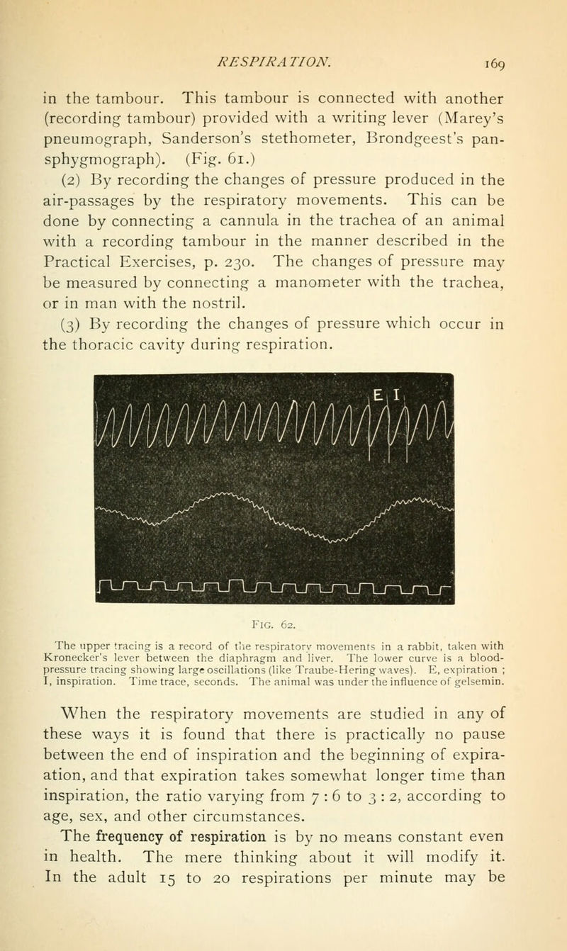 in the tambour. This tambour is connected with another (recording tambour) provided with a writing lever (Marey's pneumograph, Sanderson's stethometer, Brondgeest's pan- sphygmograph). (Fig. 61.) (2) By recording the changes of pressure produced in the air-passages by the respiratory movements. This can be done by connecting a cannula in the trachea of an animal with a recording tambour in the manner described in the Practical Exercises, p. 230. The changes of pressure may be measured by connecting a manometer with the trachea, or in man with the nostril. (3) By recording the changes of pressure which occur in the thoracic cavity during respiration. Fig. 62. The upper 'racing is a record of tlie respiratory movements in a rabbit, taken with Kronecker's iever between the diaphragm and liver. The lower curve i.s a blood- pressure tracing showing large oscillations (like Traube-Hering waves). E, expiration ; I, inspiration. Time trace, seconds. The animal was imder the influence of gelsemin. When the respiratory movements are studied in any of these ways it is found that there is practically no pause between the end of inspiration and the beginning of expira- ation, and that expiration takes somewhat longer time than inspiration, the ratio varying from 7 : 6 to 3 : 2, according to age, sex, and other circumstances. The frequency of respiration is by no means constant even in health. The mere thinking about it will modify it. In the adult 15 to 20 respirations per minute may be