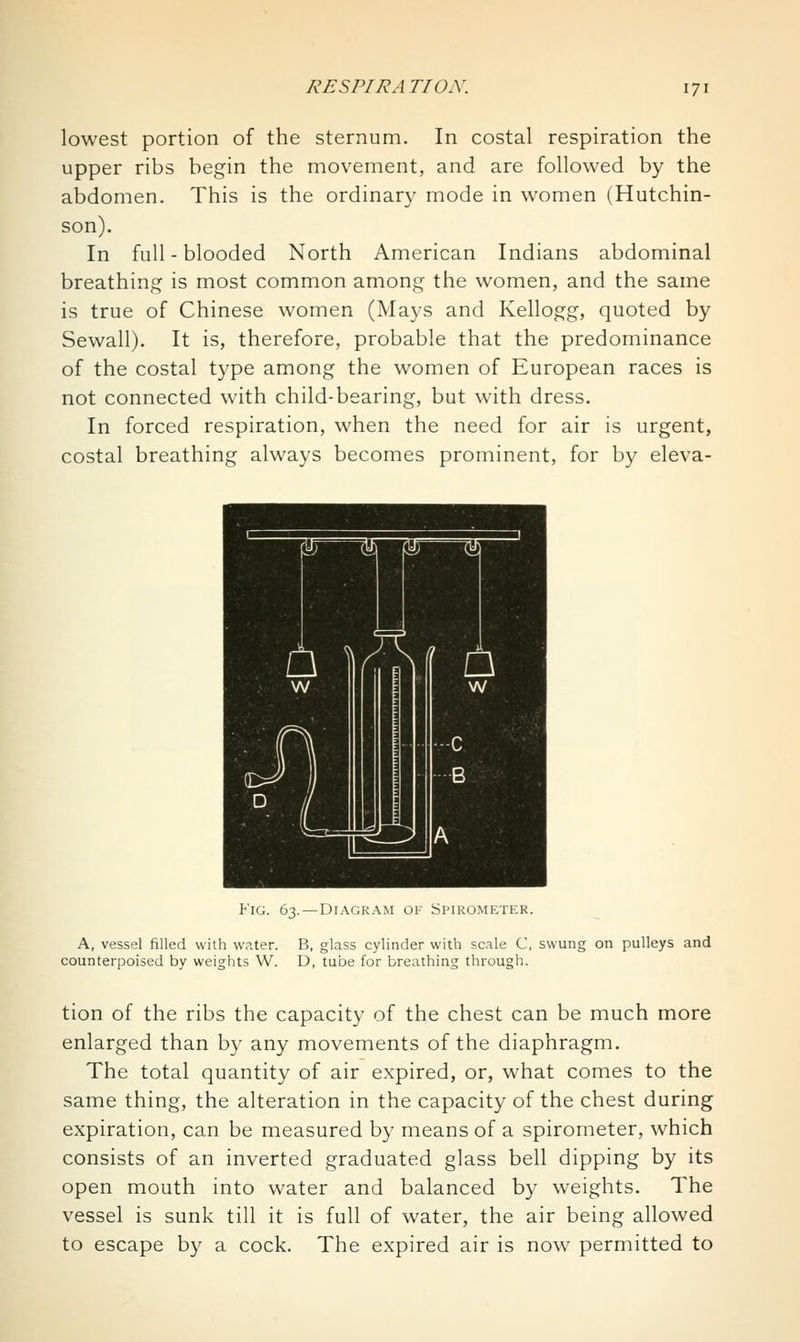 lowest portion of the sternum. In costal respiration the upper ribs begin the movement, and are followed by the abdomen. This is the ordinary mode in women (Hutchin- son). In full-blooded North American Indians abdominal breathing is most common among the women, and the same is true of Chinese women (Mays and Kellogg, quoted by Sewall). It is, therefore, probable that the predominance of the costal type among the women of European races is not connected with child-bearing, but with dress. In forced respiration, when the need for air is urgent, costal breathing always becomes prominent, for by eleva- FiG. 63.—Diagram of Spirometer. A, vessel filled with water. B, glass cylinder with scale C, swung on pulleys and counterpoised by weights W. D, tube for breathing through. tion of the ribs the capacity of the chest can be much more enlarged than by any movements of the diaphragm. The total quantity of air expired, or, what comes to the same thing, the alteration in the capacity of the chest during expiration, can be measured by means of a spirometer, which consists of an inverted graduated glass bell dipping by its open mouth into water and balanced by weights. The vessel is sunk till it is full of water, the air being allowed to escape by a cock. The expired air is now permitted to