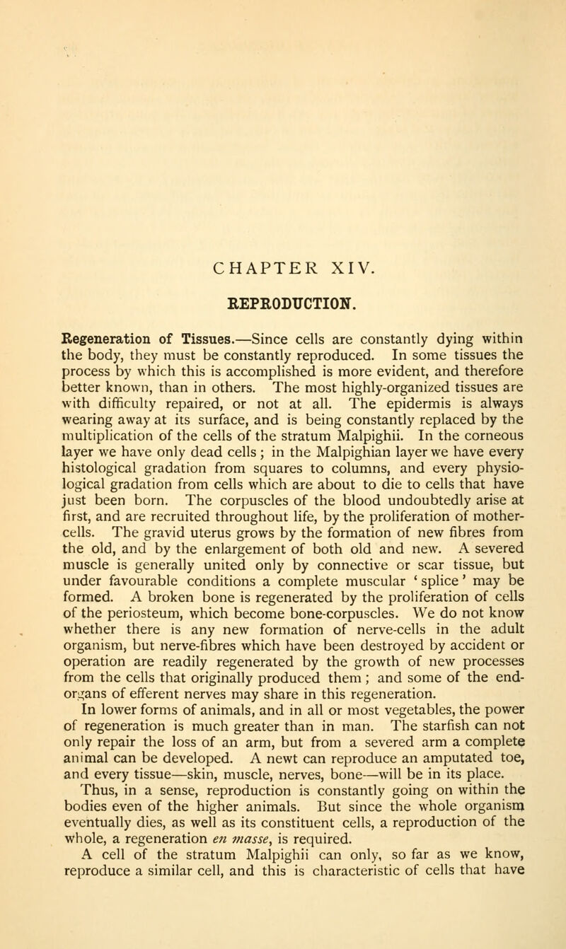 REPRODUCTION. Regeneration of Tissues.—Since cells are constantly dying within the body, they must be constantly reproduced. In some tissues the process by which this is accomplished is more evident, and therefore better known, than in others. The most highly-organized tissues are with difficulty repaired, or not at all. The epidermis is always wearing away at its surface, and is being constantly replaced by the multiplication of the cells of the stratum Malpighii. In the corneous layer we have only dead cells; in the Malpighian layer we have every histological gradation from squares to columns, and every physio- logical gradation from cells which are about to die to cells that have just been born. The corpuscles of the blood undoubtedly arise at first, and are recruited throughout life, by the proliferation of mother- cells. The gravid uterus grows by the formation of new fibres from the old, and by the enlargement of both old and new. A severed muscle is generally united only by connective or scar tissue, but under favourable conditions a complete muscular ' splice' may be formed. A broken bone is regenerated by the proliferation of cells of the periosteum, which become bone-corpuscles. We do not know whether there is any new formation of nerve-cells in the adult organism, but nerve-fibres which have been destroyed by accident or operation are readily regenerated by the growth of new processes from the cells that originally produced them ; and some of the end- orLjans of efferent nerves may share in this regeneration. In lower forms of animals, and in all or most vegetables, the power of regeneration is much greater than in man. The starfish can not only repair the loss of an arm, but from a severed arm a complete animal can be developed. A newt can reproduce an amputated toe, and every tissue—skin, muscle, nerves, bone—will be in its place. Thus, in a sense, reproduction is constantly going on within the bodies even of the higher animals. But since the whole organism eventually dies, as well as its constituent cells, a reproduction of the whole, a regeneration en masse, is required. A cell of the stratum Malpighii can only, so far as we know, reproduce a similar cell, and this is characteristic of cells that have