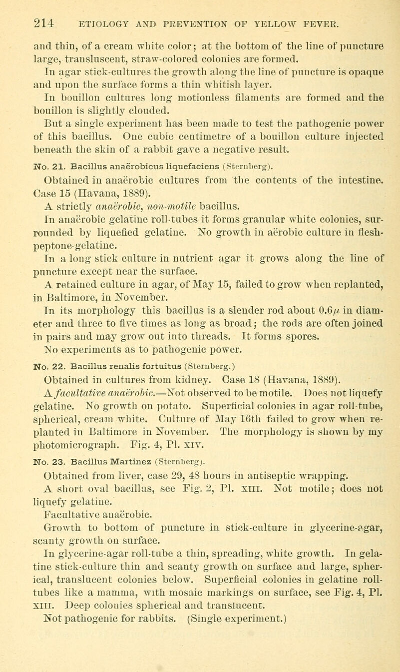 and thin, of a cream white color; at the bottom of the line of puncture large, transluscent, straw-colored colonies are formed. In agar stick-cultures the growth along the line of puncture is opaque and upon the surface forms a thin whitish layer. In bouillon cultures long motionless filaments are formed and the bouillon is slightly clouded. But a single experiment has been made to test the i^athogenic power of this bacillus. One cubic centimetre of a bouillon culture injected beneath the skin of a rabbit gave a negative result. No. 21. Bacillus anaerobicus liquefaciens (Sternberg). Obtained in anaerobic cultures from the contents of the intestine. Case 15 (Havana, 1889). A strictly cmaerobic, non-motile bacillus. In anaerobic gelatine roll-tubes it forms granular white colonies, sur- rounded by liquefied gelatine. No growth in aerobic culture in flesh- peptone-gelatine. In a long stick culture in nutrient agar it grows along the line of puncture except near the surface. A retained culture in agar^ of May 15, failed to grow when replanted, in Baltimore, in November. In its morphology this bacillus is a slender rod about 0.6pi in diam- eter and three to five times as long as broad; the rods are often joined in i)airs and may grow out into threads. It forms spores. No experiments as to pathogenic power. No. 22. Bacillus renalis fortuitus (Sternberg.) Obtained in cultures from kidney. Case 18 (Havana, 1889). A facultative anaeroMc.—Not observed to be motile. Does not liquefy gelatine. No growth on potato. Suj)erficial colonies in agar roll-tube, spherical, cream white. Culture of May 16th failed to grow when re- planted in Baltimore in November. The morphology is shown by my photomicrograph. Fig. 4, PI. xiy. No. 23. Bacillus Martinez (Sternberg;. Obtained from liver, case 29, 48 hours in antiseptic wrapping. A short oval bacillus, see Fig. 2, PI. xiii. Not motile; does not liquefy gelatine. Facultative anaerobic. Growth to bottom of puncture in stick-culture in glycerine-?.gar, scanty growth on surface. In glycerine-agar roll-tube a thin, siireading, white growth. In gela- tine stick-culture thin and scanty growth on surface and large, spher- ical, translucent colonies below. Superficial colonies in gelatine roll- tubes like a mamma, with mosaic markings on surface, see Fig. 4, PI. XIII. Deep colonies spherical and translucenc. Not pathogenic for rabbits. (Single experiment.)