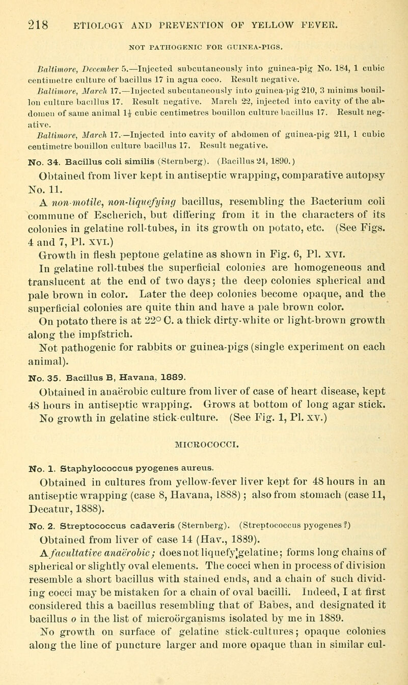 NOT PATHOGENIC FOR GUINEA-PIGS, Baltimore, December 5.—Injected subcutaneously into guinea-pig No. 184, 1 cubic centimetre culture of bacillus 17 in agua coco. Result negative. Baltimore, March 17.—Injected subcutaneously into guinea-pig 210, 3 minims bouil- lon culture bacillus 17. Result negative. Marcb 22, injected into cavity of tbe ab- domen of same animal H cubic centimetres bouillon culture bacillus 17. Result neg- ative. Baltimore, March 17.—Injected into cavity of abdomen of gaiuea-pig 211, 1 cubic centimetre bouillon culture bacillus 17. Result negative. No. 34. Bacillus coll similia (Sternberg). (Bacillus 24, 1890.) Obtained from liver kept in antiseptic wrapping, comparative autopsy No. 11. A non-motile, non-liquefying bacillus, resembling the Bacterium coli commune of Escberich, but differing from it in tbe characters of its colonies in gelatine roll-tubes, in its growth on potato, etc. (See Figs. 4 and 7, PI. xvi.) Growth in flesh peptone gelatine as shown in Fig. 6, PI. xvi. In gelatine roll-tubes the superficial colonies are homogeneous and translucent at the end of two days; the deep colonies spherical and pale brown in color. Later the deep colonies become opaque, and the superficial colonies are quite thin and have a pale brown color. On potato there is at 22° 0. a thick dirty-white or light-brown growth along the impfstrich. Not pathogenic for rabbits or guinea-pigs (single experiment on each animal). No. 35. Bacillus B, Havana, 1889. Obtained in auaerobic culture from liver of case of heart disease, kept 48 hours in antiseptic wrapping. Grows at bottom of long agar stick. No growth in gelatine stick-culture. (See Fig. 1, PI. xv.) MICROCOCCI. No. 1. Staphylococcus pyogenes aureus. Obtained in cultures from yellow-fever liver kept for 48 hours in an antiseptic wrapping (case 8, Havana, 1888); also from stomach (case 11, Decatur, 1888). No. 2. Streptococcus cadaveris (Sternberg). (Streptococcus pyogenes ?) Obtained from liver of case 14 (Hav., 1889). Afacultative anaerobic; does not liquefy|gelatine; forms long chains of spherical or slightly oval elements. The cocci when in process of division resemble a short bacillus with stained ends, and a chain of such divid- ing cocci may be mistaken for a chain of oval bacilli. Indeed, I at first considered this a bacillus resembling that of Babes, and designated it bacillus 0 in the list of microorganisms isolated by me in 1889. No growth on surface of gelatine stick-cultures; opaque colonies along the line of puncture larger and more opaque than in similar cul-