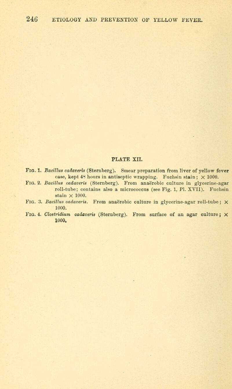 PLATE XIL Fig. 1. Bacillus cadaveris (Sternberg). Smear preparation from liver of yellow fever case, kept 48 hours in antiseptic wrapping. Fuchsin stain ; X 1000. Fig. 2. Bacillus cadaveris (Sternberg). From anaerobic culture in glycerine-agar roll-tube: contains also a micrococcus (see Fig. 1, PL XVII). Fuchsin stain X 1000. Fig. 3. Bacillus cadaveris. From anaerobic culture in glycerine-agar roll-tube; X 1000. Fig. 4. Clostridium cadaveris (Sternberg). From surface of an agar culture; x 1000.