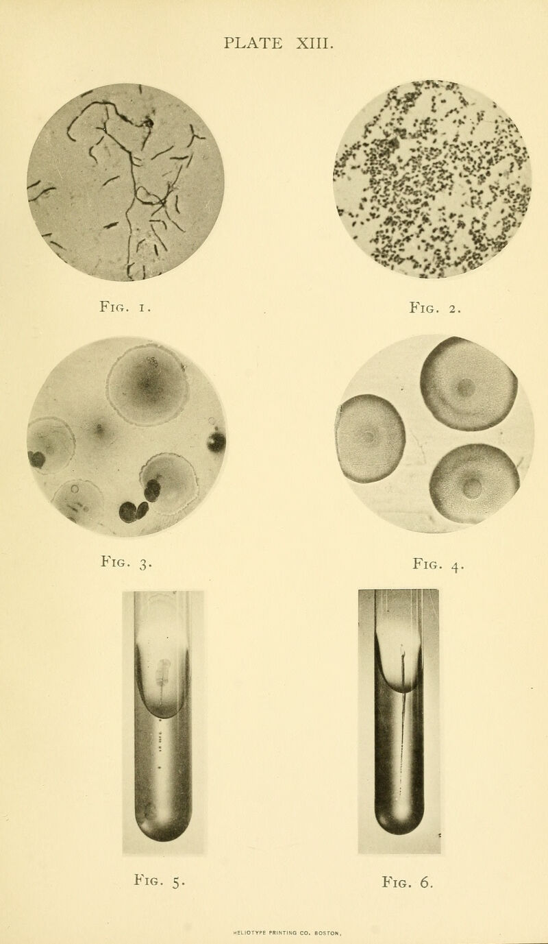 Fig, Fig. 2, ^i™ t» 0 Fig. 3. Fig. Fig. 5. Fig. 6.