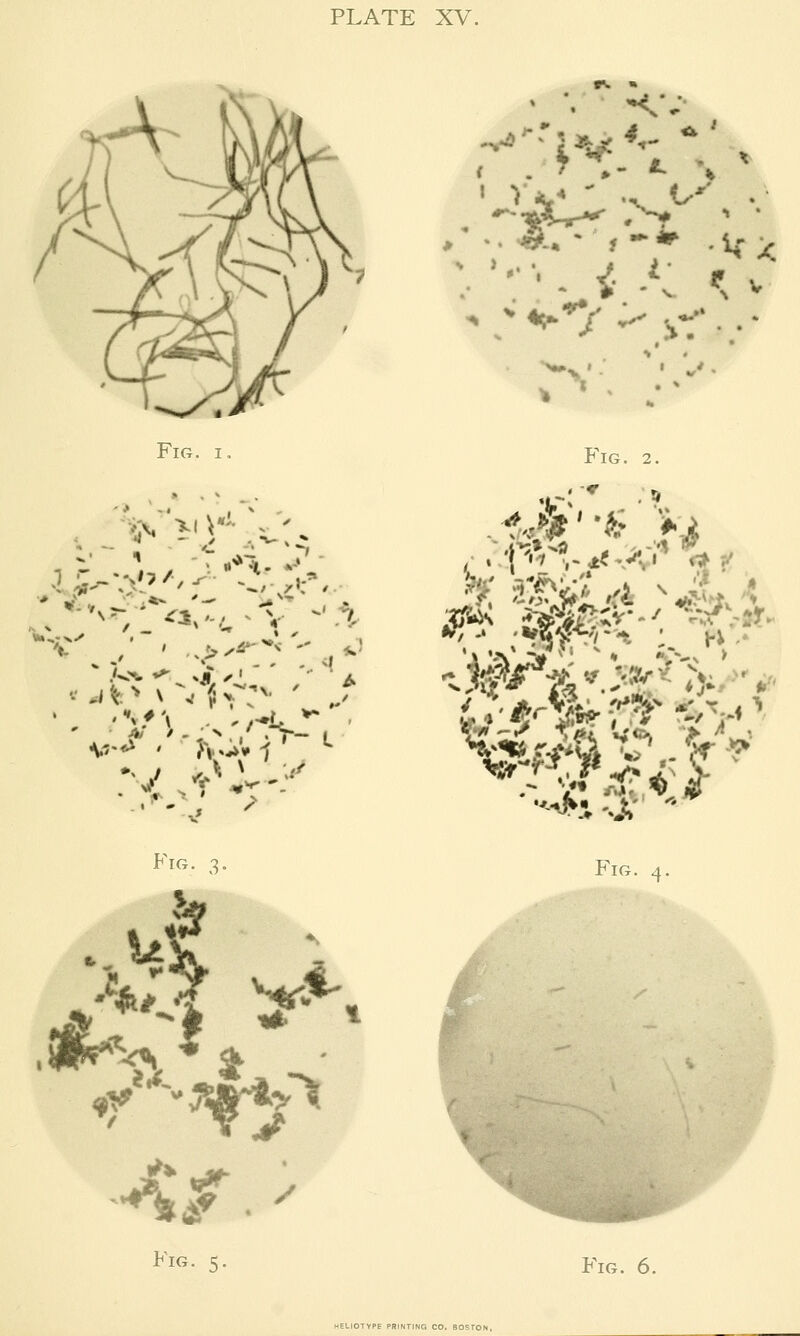 Fig. I ^ '-< ^ I • r- L Fig. 3. Fig. 2. . -r Fig. Fig. 5, Fig. 6.