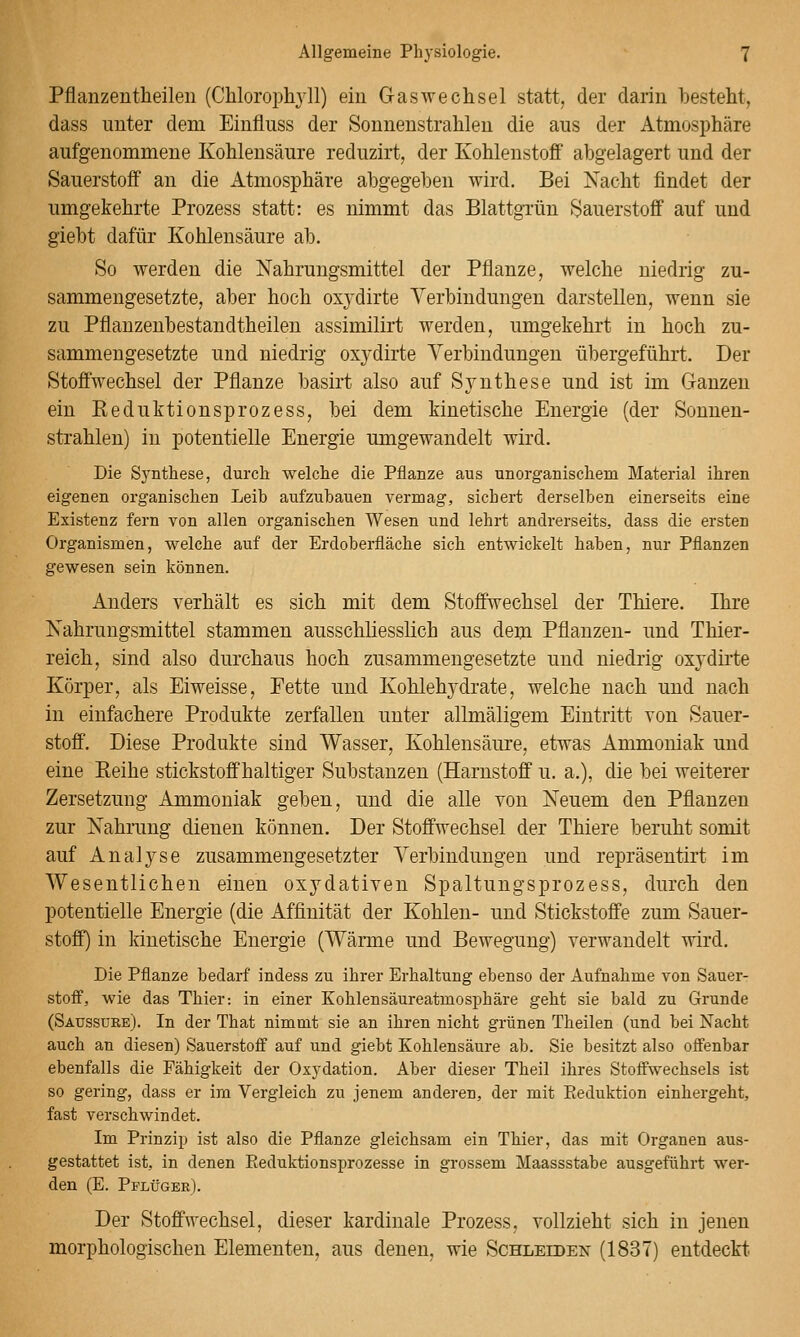Pflanzentheilen (Cliloroph3il) ein Gas Wechsel statt, der darin besteht, dass unter dem Einfliiss der Sonnenstrahlen die aus der Atmosphäre aufgenommene Kohlensäure reduzirt, der Kohlenstoff abgelagert und der Sauerstoff an die Atmosphäre abgegeben wird. Bei Xacht findet der umgekehrte Prozess statt: es nimmt das Blattgrün Sauerstoff auf und giebt dafür Kohlensäure ab. So werden die Nahrungsmittel der Pflanze, welche niedrig zu- sammengesetzte, aber hoch oxj'dirte Verbindungen darstellen, wenn sie zu Pflanzenbestandtheilen assimilirt werden, umgekehrt in hoch zu- sammengesetzte und niedrig oxydirte Verbindungen übergeführt. Der Stoffwechsel der Pflanze basirt also auf Synthese und ist im Ganzen ein Eeduktionsprozess, bei dem kinetische Energie (der Sonnen- strahlen) in potentielle Energie umgewandelt wird. Die Synthese, durch welche die Pflanze aus unorganischem Material ihren eigenen organischen Leib aufzubauen vermag, sichert derselben einerseits eine Existenz fern von allen organischen Wesen und lehrt andrerseits, dass die ersten Organismen, welche auf der Erdoberfläche sich entwickelt haben, nur Pflanzen gewesen sein können. Anders verhält es sich mit dem Stoffwechsel der Thiere. Ihre Nahrungsmittel stammen ausschliesslich aus dem Pflanzen- und Thier- reich, sind also durchaus hoch zusammengesetzte und niedrig oxydirte Körper, als Eiweisse, Fette und Kohlehydrate, welche nach und nach in einfachere Produkte zerfallen unter allmäligem Eintritt von Sauer- stoff'. Diese Produkte sind Wasser, Kohlensäure, etwas Ammoniak und eine Reihe stickstoffhaltiger Substanzen (Harnstoff u. a.), die bei weiterer Zersetzung Ammoniak geben, und die alle von Neuem den Pflanzen zur Nahrung dienen können. Der Stoffwechsel der Thiere beruht somit auf Analyse zusammengesetzter Verbindungen und repräsentirt im Wesentlichen einen oxydativen Spaltungsprozess, durch den potentielle Energie (die Affinität der Kohlen- und Stickstoffe zum Sauer- stoff) in kinetische Energie (Wärme und Bewegung) verwandelt wird. Die Pflanze bedarf indess zu ihrer Erhaltung ebenso der Aufnahme von Sauer- stoff, wie das Thier: in einer Kohlensäureatmosphäre geht sie bald zu Grunde (Saussübe). In der That nimmt sie an ihren nicht grünen Theilen (und bei Nacht auch an diesen) Sauerstoff auf und giebt Kohlensäure ab. Sie besitzt also offenbar ebenfalls die Fähigkeit der Oxydation. Aber dieser Theil ihres Stoffwechsels ist so gering, dass er im Vergleich zu jenem anderen, der mit Reduktion einhergeht, fast verschwindet. Im Prinzip ist also die Pflanze gleichsam ein Thier, das mit Organen aus- gestattet ist, in denen Eeduktionsprozesse in grossem Maassstabe ausgeführt wer- den (E. Pflüger). Der Stoffwechsel, dieser kardinale Prozess, vollzieht sich in jenen morphologischen Elementen, aus denen, wie Schleiden (1837) entdeckt