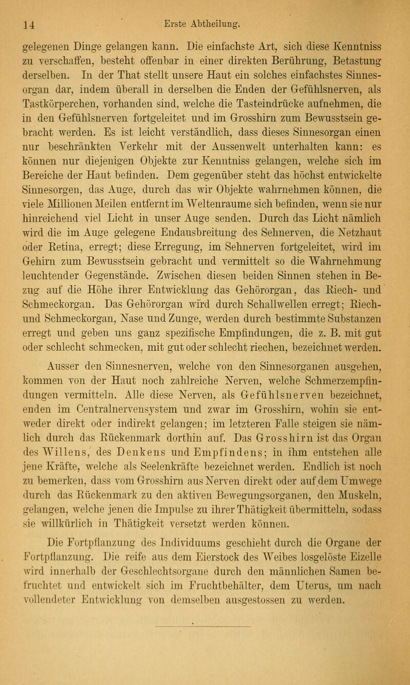 gelegenen Dinge gelangen kann. Die einfachste Art, sich diese Kenntniss zu verschaffen, besteht offenbar in einer direkten Berührung, Betastung derselben. In der That stellt unsere Haut ein solches einfachstes Sinnes- organ dar, indem überall in derselben die Enden der Gefühlsnerven, als Tastkörperchen, vorhanden sind, welche die Tasteindrücke aufnehmen, die in den G-efühlsnerven fortgeleitet und im Grosshirn zum Bewusstsein ge- bracht werden. Es ist leicht verständlich, dass dieses Sinnesorgan einen nur beschränkten Verkehr mit der Aussenwelt unterhalten kann: es können nur diejenigen Objekte zur Kenntniss gelangen, welche sich im Bereiche der Haut befinden. Dem gegenüber steht das höchst entwickelte Sinnesorgen, das Auge, durch das wir Objekte wahrnehmen können, die viele Milhonen Meilen entferntimWeltenraume sich befinden, wenn sie nur hinreichend viel Licht in unser Auge senden. Durch das Licht nämlich wird die im Auge gelegene Endausbreitung des Sehnerven, die Netzhaut oder Retina, erregt; diese Erregung, im Sehnerven fortgeleitet, wird im Gehirn zum Bewusstsein gebracht und vermittelt so die Wahrnehmung leuchtender Gegenstände. Zwischen diesen beiden Sinnen stehen in Be- zug auf die Höhe ihrer Entwicklung das Gehörorgan, das Kiech- und Schmeckorgan. Das Gehörorgan wird durch Schallwellen erregt; Riech- und Schmeckorgan, Nase und Zunge, werden durch bestimmte Substanzen erregt und geben uns ganz spezifische Empfindungen, die z. B. mit gut oder schlecht schmecken, mit gut oder schlecht riechen, bezeichnet werden. Ausser den Sinnesnerven, welche von den Sinnesorganen ausgehen, kommen von der Haut noch zahlreiche Nerven, welche Schmerzempfin- dungen vermitteln. Alle diese Nerven, als Gefühls nerven bezeichnet, enden im Centralnervensystem und zwar im Grosshirn, wohin sie ent- weder direkt oder indirekt gelangen; im letzteren Falle steigen sie näm- lich durch das Rückenmark dorthin auf. Das Grosshirn ist das Organ des Willens, des Denkens und Empfindens; in ihm entstehen alle jene Kräfte, welche als Seelenkräfte bezeichnet werden. Endlich ist noch zu bemerken, dass vom Grosshirn aus Nerven direkt oder auf dem Umwege durch das Rückenmark zu den aktiven Bewegungsorganen, den Muskeln, gelangen, welche jenen die Impulse zu ihrer Thätigkeit übermitteln, sodass sie willkürlich in Thätigkeit versetzt werden können. Die Fortpflanzung des Individuums geschieht durch die Organe der Fortpflanzung. Die reife aus dem Eierstock des Weibes losgelöste Eizelle wird innerhalb der Geschlechtsorgane durch den männlichen Samen be- fruchtet und entwickelt sich im Fruchtbehälter, dem Uterus, um nach vollendeter Entwicklung; von demselben ausgestossen zu werden.