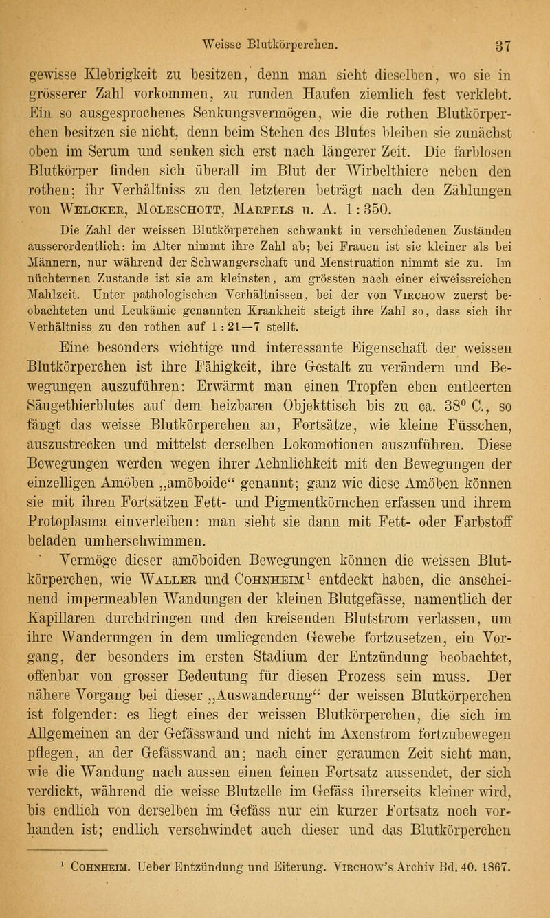 gewisse Klebrigkeit zu besitzen, denn man sieht dieselben, wo sie in grösserer Zahl vorkommen, zu runden Haufen ziemlich fest verklebt. Ein so ausgesprochenes Senkungsvermögen, wie die rothen Blutkörper- chen besitzen sie nicht, denn beim Stehen des Blutes bleiben sie zunächst oben im Serum und senken sich erst nach längerer Zeit. Die farblosen Blutkörper finden sich überall im Blut der Wirbelthiere neben den rothen; ihr Yerhältuiss zu den letzteren beträgt nach den Zählungen von Welokee, Moleschott, Marfels u. A. 1: 350. Die Zahl der weissen Blutkörperchen schwankt in verschiedenen Zuständen ausserordentlich: im Alter nimmt ihre Zahl ab; bei Frauen ist sie kleiner als bei Männern, nur während der Schwangerschaft und Menstruation nimmt sie zu. Im nüchternen Zustande ist sie am kleinsten, am grössten nach einer eiweissreichen Mahlzeit. Unter pathologischen Verhältnissen, bei der von Vikchow zuerst be- obachteten und Leukämie genannten Krankheit steigt ihre Zahl so, dass sich ihr Verhältniss zu den rothen auf 1 :2l—7 stellt. Eine besonders wichtige und interessante Eigenschaft der weissen Blutkörperchen ist ihre Fähigkeit, ihre Gestalt zu verändern und Be- wegungen auszuführen: Erwärmt man einen Tropfen eben entleerten Säugethierblutes auf dem heizbaren Objekttisch bis zu ca. 38'' C, so fängt das weisse Blutkörperchen an, Fortsätze, wie kleine Füsschen, auszustrecken und mittelst derselben Lokomotionen auszuführen. Diese Bewegungen werden wegen ihrer Aehnlichkeit mit den Bewegungen der einzelligen Amöben ,,amöboide'' genannt; ganz wie diese Amöben können sie mit ihren Fortsätzen Fett- und Pigmentkörnchen erfassen und ihrem Protoplasma einverleiben: man sieht sie dann mit Fett- oder Farbstoff beladen umherschwimmen. Vermöge dieser amöboiden Bewegungen können die weissen Blut- körperchen, wie AVallee und Cohnheim^ entdeckt haben, die anschei- nend impermeablen Wandungen der kleinen Blutgefässe, namentlich der Kapillaren durchdringen und den kreisenden Blutstrom verlassen, um ihre Wanderungen in dem umliegenden Gewebe fortzusetzen, ein Vor- gang, der besonders im ersten Stadium der Entzündung beobachtet, offenbar von grosser Bedeutung für diesen Prozess sein muss. Der nähere Vorgang bei dieser ,,Auswanderung'' der weissen Blutkörperchen ist folgender: es liegt eines der weissen Blutkörperchen, die sich im Allgemeinen an der Gefässwand und nicht im Axenstrom fortzubewegen pflegen, an der Gefässwand an; nach einer geraumen Zeit sieht man, wie die Wandung nach aussen einen feinen Fortsatz aussendet, der sich verdickt, während die weisse Blutzelle im Gefäss ihrerseits kleiner wird, bis endlich von derselben im Gefäss nur ein kurzer Fortsatz noch vor- handen ist; endlich verschwindet auch dieser und das Blutkörperchen ^ CoHNHEiM. Ueber Entzündung und Eiterung. Virchow's Archiv Bd. 40. 1867.