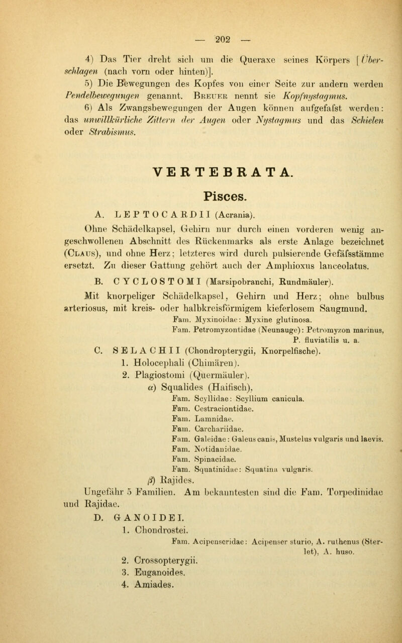 4) Das Tier dreht sich um die Queraxe seines Körpers [Über- schlagen (nach vom oder liinten)]. 5) Die Bewegungen des Kopfes von einer Seite zur andern werden Pendelbewegungen genannt. Breuer nennt sie Kopfnystagmus. 6) Als Zwangsbeweguugen der Augen können aufgefafst werden: das unwillkürliche Zittern der Äugen oder Nystagmus und das Schielen oder Strabismus. VERTEBRATA. Pisces. A. LEP TOC ARDII (Acrania). Ohne Schiidelkapsel, Gehirn nur durch einen vorderen wenig an- geschwolleneu Abschnitt des Rückenmarks als erste Anlage bezeichnet (Claus), und ohne Herz; letzteres wird durch pulsierende Grefäfsstämme ersetzt. Zu dieser Gattung gehört auch der Amphioxus lanceolatus. B. CYCLOSTOMI (Marsipobranchi, Rundmäuler). Mit knorpeliger Schädelkapsel, Gehirn und Herz; ohne bulbus arteriosus, nait kreis- oder halbkreisförmigem kieferlosem Saugmund. Fam. Myxinoidae: Myxine glutinosa. Fam. Petromyzontidae (Neunauge): Petromyzon marinus, P. fluviatilis u, a. С SELACHII (Chondropterygii, Knorpelfische). 1. Holocephali (Chimären). 2. Plagiostomi (Quermäuler). a) Squalides (Hailisch), Fam. Scyllidae: Scyllium canicula. Farn. Cestraciontidae. Fam. Lamnidae. Fam. Cavchariidae. Fam. Galeidae: Galeus cani^, Mustelus vulgaris und laevis. Fam. Notidaiiidae. Fam. Spinacidae. Fam. Squatinidae: Squatiua vulgaris. ß) Eajides. Ungefähr 5 Familien. Am bekanntesten sind die Fam. Torpedinidau und Rajidac. D. GANOIDEI. 1. Chondrostei. Fam. Acii:)enscridae: Acipenser sturio, A. rutbenus (Ster- let), A. huso. 2. Crossopterygii. 3. Euganoides. 4. Amiades.