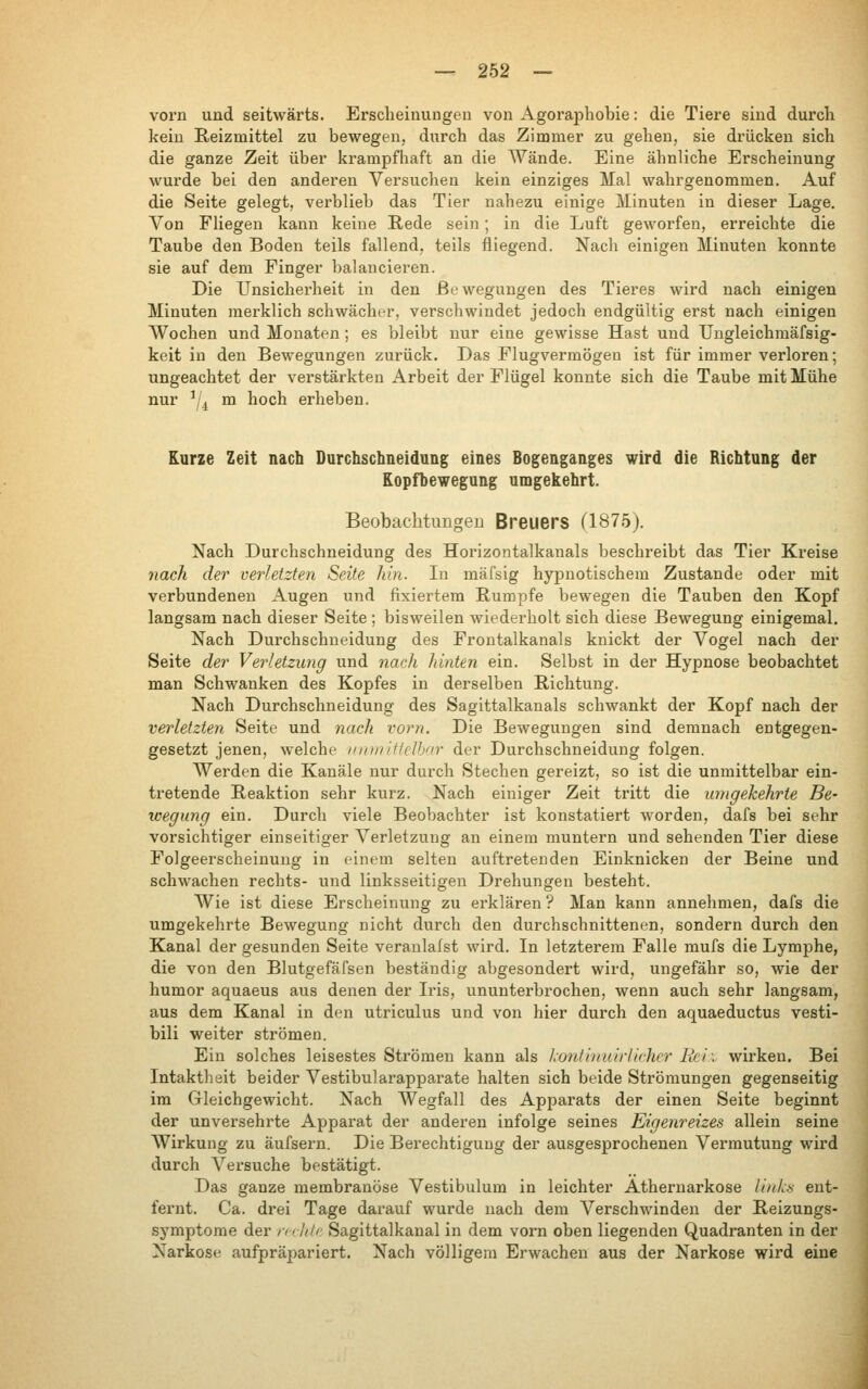 vorn und seitwärts. Erscheinungen von Agoraphobie: die Tiere sind durch kein Reizmittel zu bewegen, durch das Zimmer zu gehen, sie drücken sich die ganze Zeit über krampfhaft an die Wände. Eine ähnliche Erscheinung wurde bei den anderen Versuchen kein einziges Mal wahrgenommen. Auf die Seite gelegt, verblieb das Tier nahezu einige Minuten in dieser Lage. Л-^оп Fliegen kann keine Rede sein; in die Luft geworfen, erreichte die Taube den Boden teils fallend, teils fliegend. Nach einigen Minuten konnte sie auf dem Finger balancieren. Die Unsicherheit in den Bewegungen des Tieres wird nach einigen Minuten merklich schwächer, verschwindet jedoch endgültig erst nach einigen Wochen und Monaten; es bleibt nur eine gewisse Hast und XJngleichmäfsig- keit in den Bewegungen zurück. Das Flugvermögen ist für immer verloren; ungeachtet der verstärkten Arbeit der Flügel konnte sich die Taube mit Mühe nur -/^ m hoch erheben. Kurze Zeit nach Durchschneidung eines Bogeagaiiges wird die Richtung der Eopfbewegung umgekehrt. Beobachtungen Breuers (1875). Nach Durchschneidung des Horizontalkanals beschreibt das Tier Kreise nach der verletzten Seite hin. In mäfsig hypnotischem Zustande oder mit verbundenen Augen und fixiertem Rumpfe bewegen die Tauben den Kopf langsam nach dieser Seite ; bisweilen wiederholt sich diese Bewegung einigemal. Nach Durchschneidung des Frontalkanals knickt der Vogel nach der Seite der Verletzimg und nach hinten ein. Selbst in der Hypnose beobachtet man Schwanken des Kopfes in derselben Richtung. Nach Durchschneidung des Sagittalkanals schwankt der Kopf nach der verletzten Seite und nach vorn. Die Bewegungen sind demnach entgegen- gesetzt jenen, welche iimnittelhnr der Durchschneidung folgen. Werden die Kanäle nur durch Stechen gereizt, so ist die unmittelbar ein- tretende Reaktion sehr kurz. Nach einiger Zeit tritt die umgekehrte Be- wegung ein. Durch viele Beobachter ist konstatiert worden, dafs bei sehr vorsichtiger einseitiger Verletzung an einem muntern und sehenden Tier diese Folgeerscheinung in einem selten auftretenden Einknicken der Beine und schwachen rechts- und linksseitigen Drehungen besteht. Wie ist diese Erscheinung zu erklären ? Man kann annehmen, dafs die umgekehrte Bewegung nicht durch den durchschnittenen, sondern durch den Kanal der gesunden Seite veraulalst wird. In letzterem Falle mufs die Lymphe, die von den Blutgefäfsen beständig abgesondert wird, ungefähr so, wie der humor aquaeus aus denen der Iris, ununterbrochen, wenn auch sehr langsam, aus dem Kanal in den utriculus und von hier durch den aquaeductus vesti- bili weiter strömen. Ein solches leisestes Strömen kann als hontinuirlicher Fei: wirken. Bei Intaktheit beider Vestibularapparate halten sich beide Strömungen gegenseitig im Gleichgewicht. Nach Wegfall des Apparats der einen Seite beginnt der unversehrte Apparat der anderen infolge seines Eigenreizes allein seine Wirkung zu äufsern. Die Berechtigung der ausgesprochenen Vermutung wird durch A'^ersuche bestätigt. Das ganze membranöse Vestibulum in leichter Athernarkose links ent- fernt. Ca. drei Tage darauf wurde nach dem Л^erschwinden der Reizungs- symptome der /V' //// Sagittalkanal in dem vorn oben liegenden Quadranten in der Narkose aufpräpariert. Nach völligem Erwachen aus der Narkose wird eine