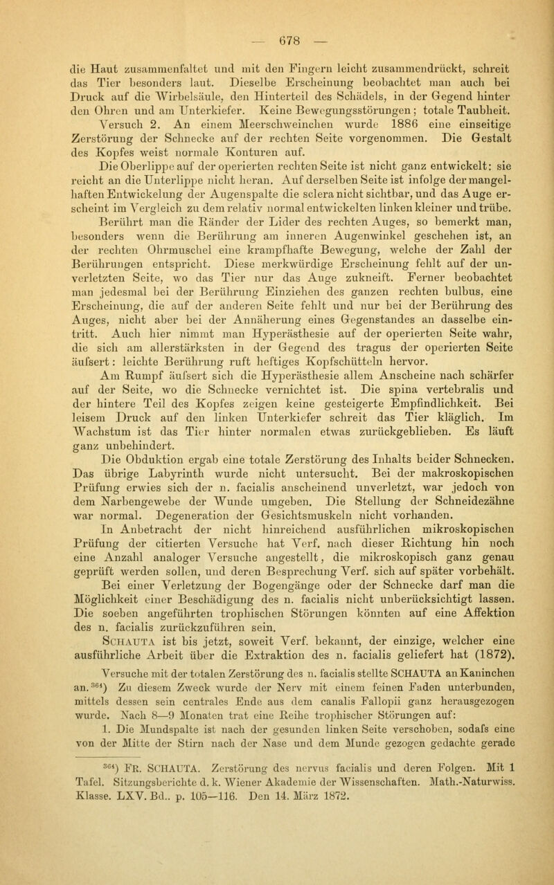 die Haut zu«ammenfaltet und mit den Fingern leicht zusammendrückt, schreit das Tier besonders laut. Dieselbe Erscheinung beobachtet man auch bei Druck auf die Wirbelsäule, den Hinterteil des Schädels, in der Gegend hinter den Ohren und am Unterkiefer. Keine Bewegungsstörungen ; totale Taubheit. Versuch 2. An einem Meerschweinchen wurde 1886 eine einseitige Zerstörung der Schnecke auf der rechten Seite vorgenommen. Die Gestalt des Koj)fes weist normale Konturen auf. Die Oberlippe auf der operierten rechten Seite ist nicht ganz entwickelt: sie reicht an die Unterlippe nicht heran. Auf derselben Seite ist infolge der mangel- haften Entwickelung der Augenspalte die sclera nicht sichtbar, und das Auge er- scheint im Vergleich zu dem relativ normal entwickelten linken kleiner und trübe. Berührt man die Ränder der Lider des rechten Auges, so bemerkt man, besonders wenn die Berührung am inneren Augenwinkel geschehen ist, an der rechten Ohrmuschel eine krampfhafte Bewegung, welche der Zahl der Berührungen entspricht. Diese merkwürdige Erscheinung fehlt auf der un- verletzten Seite, wo das Tier nur das Auge zukneift. Ferner beobachtet man jedesmal bei der Berührung Einziehen des ganzen rechten bulbus, eine Erscheinung, die auf der anderen Seite fehlt und nur bei der Berührung des Auges, nicht aber bei der Annäherung eines Gegenstandes an dasselbe ein- tritt. Auch hier nimmt man Hyperästhesie auf der operierten Seite wahr, die sich am allerstärksten in der Gegend des tragus der operierten Seite äufsert: leichte Berührung ruft heftiges Kopfschütteln hervor. Am Rumpf äufsert sich die Hyperästhesie allem Anscheine nach schärfer auf der Seite, wo die Schnecke vernichtet ist. Die spina vertebralis und der hintere Teil des Kopfes zeigen keine gesteigerte Empfindlichkeit. Bei leisem Druck auf den linken Unterkiefer schreit das Tier kläglich. Im Wachstum ist das Tier hinter normalen etwas zurückgeblieben. Es läuft ganz unbehindert. Die Obduktion ergab eine totale Zerstörung des Inhalts beider Schnecken. Das übrige Labyrinth wurde nicht untersucht. Bei der makroskopischen Prüfung erwies sich der n. facialis anscheinend unverletzt, war jedoch von dem Narbengewebe der Wunde umgeben. Die Stellung der Schneidezähne war normal. Degeneration der Gesichtsmuskeln nicht vorhanden. In Anbetracht der nicht hinreichend ausführlichen mikroskopischen Prüfung der citierten Versuche hat Verf. nach dieser Richtung hin noch eine Anzahl analoger Versuche angestellt, die mikroskopisch ganz genau geprüft werden sollen, und deren Besprechung Verf. sich auf später vorbehält. Bei einer Verletzung der Bogengänge oder der Schnecke darf man die Möglichkeit einer Beschädigung des n. facialis nicht unberücksichtigt lassen. Die soeben angeführten trophischen Störungen könnten auf eine Affektion des n. facialis zurückzuführen sein. ScHAUTA ist bis jetzt, soweit Verf. bekannt, der einzige, welcher eine ausführliche Arbeit über die Extraktion des n. facialis geliefert hat (1872). Versuche mit der totalen Zerstörung des n. facialis stellte SCHAUTA an Kaninchen an. ^^*) Zu diesem Zweck wurde der Nerv mit einem feinen Faden unterbunden, mittels dessen sein centrales Ende aus dem canalis Fallopii ganz herausgezogen wurde. Nach 8—9 Monaten trat eine Reihe trophischer Störungen auf: 1. Die Mundspalte ist nach der gesunden linken Seite verschoben, sodafs eine von der Mitte der Stirn nach der Nase und dem Munde gezogen gedachte gerade ^^*) Fr. SCHAUTA. Zerstörung des ncrvus facialis und deren Folgen. Mit 1 Tafel. Sitzungsberichte d. k. Wiener Akademie der Wissenschaften. Math.-Naturwiss. Klasse. LXV. Bd.. p. lüo-116. Den 14. März 1872.