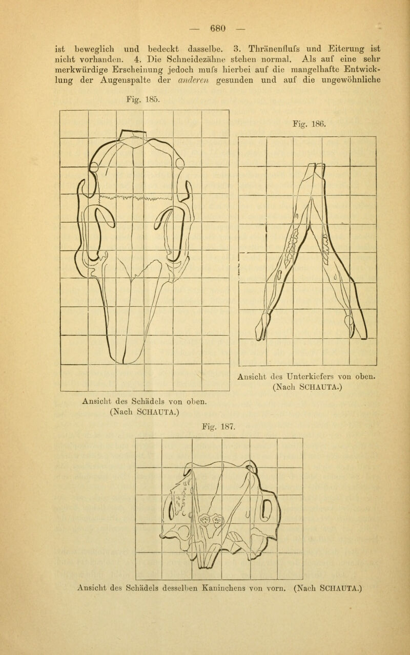 ist beweglich und bedeckt dasselbe. 3. Tliränenflufs und Eiterung ist nicht vorhanden. 4. Die Schneidezähne stehen normal. Als auf eine sehr merkwürdige Erscheinung jedoch mufs hierbei auf die mangelhafte Entwick- lung der Augeuspalte der anderen gesunden und auf die ungewöhnliche Fig. 185. Fiff. 186. Ansicht des Unterkiefers von oben. (Nach SCHAUTA.) Ansiclit des Schädels von oben. (Nach SCHAUTA.) Fiff. 187. Ansicht des Schädels desselben Kaninchens von vorn. (Nach SCHAUTA.)