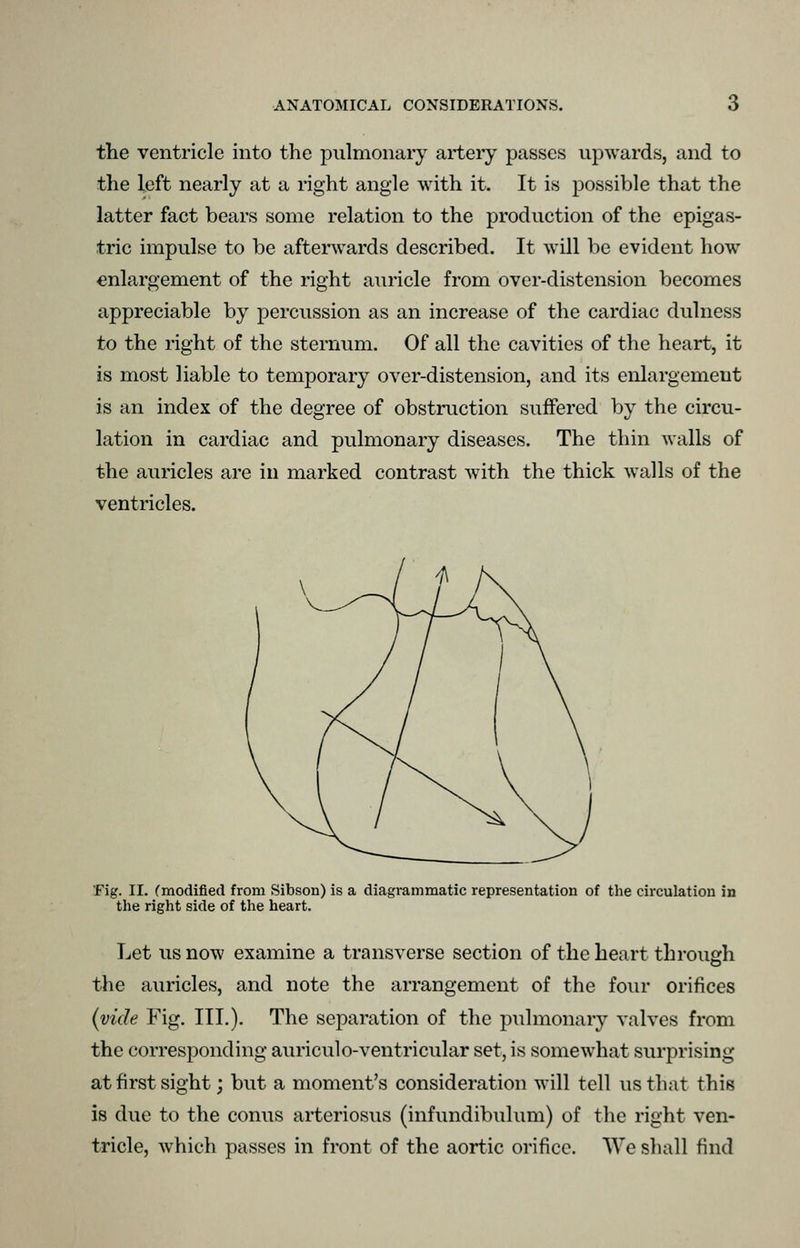 the ventricle into the pulmonary artery passes upwards, and to the left nearly at a right angle with it. It is possible that the latter fact bears some relation to the production of the epigas- tric impulse to be afterwards described. It will be evident how enlargement of the right auricle from over-distension becomes appreciable by percussion as an increase of the cardiac dulness to the right of the sternum. Of all the cavities of the heart, it is most liable to temporary over-distension, and its enlargement is an index of the degree of obstruction suffered by the circu- lation in cardiac and pulmonary diseases. The thin walls of the auricles are in marked contrast with the thick w^alls of the ventricles. Fig. II. (modified from Sibson) is a diagrammatic representation of the circulation in the right side of the heart. Let us now examine a transverse section of the heart through the auricles, and note the arrangement of the four orifices (vide Fig. III.). The separation of the pulmonary valves from the corresponding auriculo-ventricular set, is somewhat surprising at first sight; but a moment's consideration will tell us that this is due to the conus arteriosus (infundibulum) of the right ven- tricle, which passes in front of the aortic orifice. We shall find