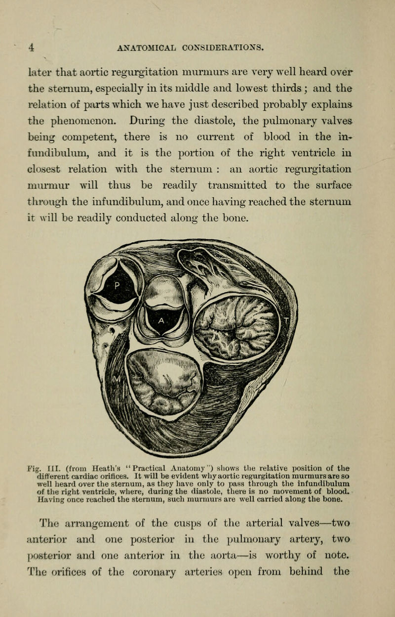 later that aortic regurgitation muriuurs are very well heard over the stenium, especially in its middle and lowest thirds; and the relation of pjirts which we have just described probably explain* the phenomenon. During the diastole, the pulmonary valves being competent, there is no current of blood in the in- fundibulum, and it is the portion of the right ventricle in closest relation with the sternum : an aortic regurgitation murmur will thus be readily transmitted to the surface tlu'ough the infundibulum, and once having reached the sternum it will be readily conducted along the bone. Fig. III. (from Heatli's Practical Anatomy) sliows tlie relative position of the different cardiac orifices. It will be evident why aortic regurgitation murmurs are so well heard over the sternum, as they liave only to pass through the infundibulum of tlie right ventricle, where, during the diastole, there is no movement of blood. Having once reached the sternum, such murmurs are well carried along the bone. The arrangement of the cusps of the arterial valves—two anterior and one posterior in tlie pulmonary artery, two posterior and one anterior in the aorta—is worthy of note. The orifices of the coronary arteries open from behind the