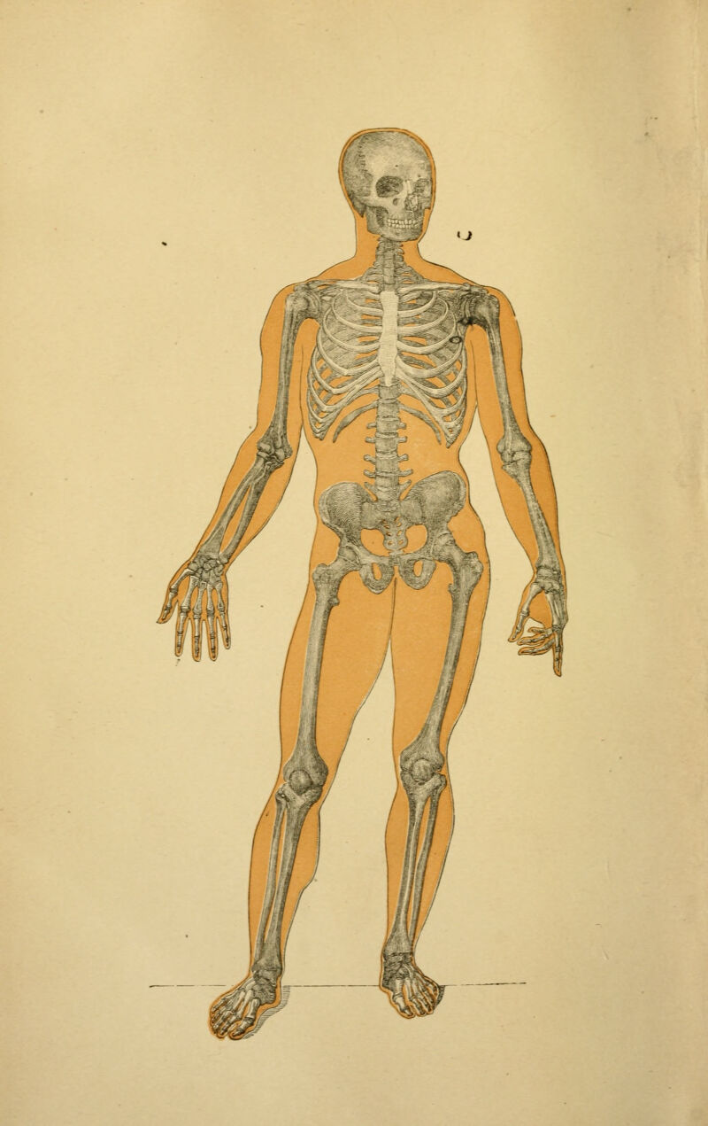 No text description is available for this image