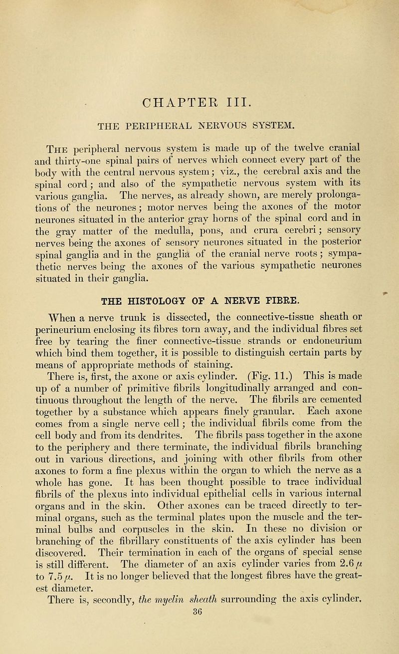 CHAPTER III. THE PERIPHERAL NERVOUS SYSTEM. The peripheral nervous system is made up of the twelve cranial and thirty-one spinal pairs of nerves which connect every part of the body with the central nervous system; viz., the cerebral axis and the spinal cord; and also of the sympathetic nervous system with its various ganglia. The nerves, as already shown, are merely prolonga- tions of the neurones; motor nerves being the axones of the motor neurones situated in the anterior gray horns of the spinal cord and in the gray matter of the medulla, pons, and crura cerebri; sensory nerves being the axones of sensory neurones situated in the posterior spinal ganglia and in the ganglia of the cranial nerve roots; sympa- thetic nerves being the axones of the various sympathetic neurones situated in their ganglia. THE HISTOLOGY OF A NERVE FIBRE. When a nerve trunk is dissected, the connective-tissue sheath or perineurium enclosing its fibres torn away, and the individual fibres set free by tearing the finer connective-tissue strands or endoneurium which bind them together, it is possible to distinguish certain parts by means of appropriate methods of staining. There is, first, the axone or axis cylinder. (Fig. 11.) This is made up of a number of primitive fibrils longitudinally arranged and con- tinuous throughout the length of the nerve. The fibrils are cemented together by a substance which appears finely granular. Each axone comes from a single nerve cell; the individual fibrils come from the cell body and from its dendrites. The fibrils pass together in the axone to the periphery and there terminate, the individual fibrils branching out in various directions, and joining with other fibrils from other axones to form a fine plexus within the organ to which the nerve as a whole has gone. It has been thought possible to trace individual fibrils of the plexus into individual epithelial cells in various internal organs and in the skin. Other axones can be traced directly to ter- minal organs, such as the terminal plates upon the muscle and the ter- minal bulbs and corpuscles in the skin. In these no division or branching of the fibrillary constituents of the axis cylinder has been discovered. Their termination in each of the organs of special sense is still different. The diameter of an axis cylinder varies from 2.6/z to 7.5 /;!. It is no longer believed that the longest fibres have the great- est diameter. There is, secondly, the myelin sheath surrounding the axis cylinder.