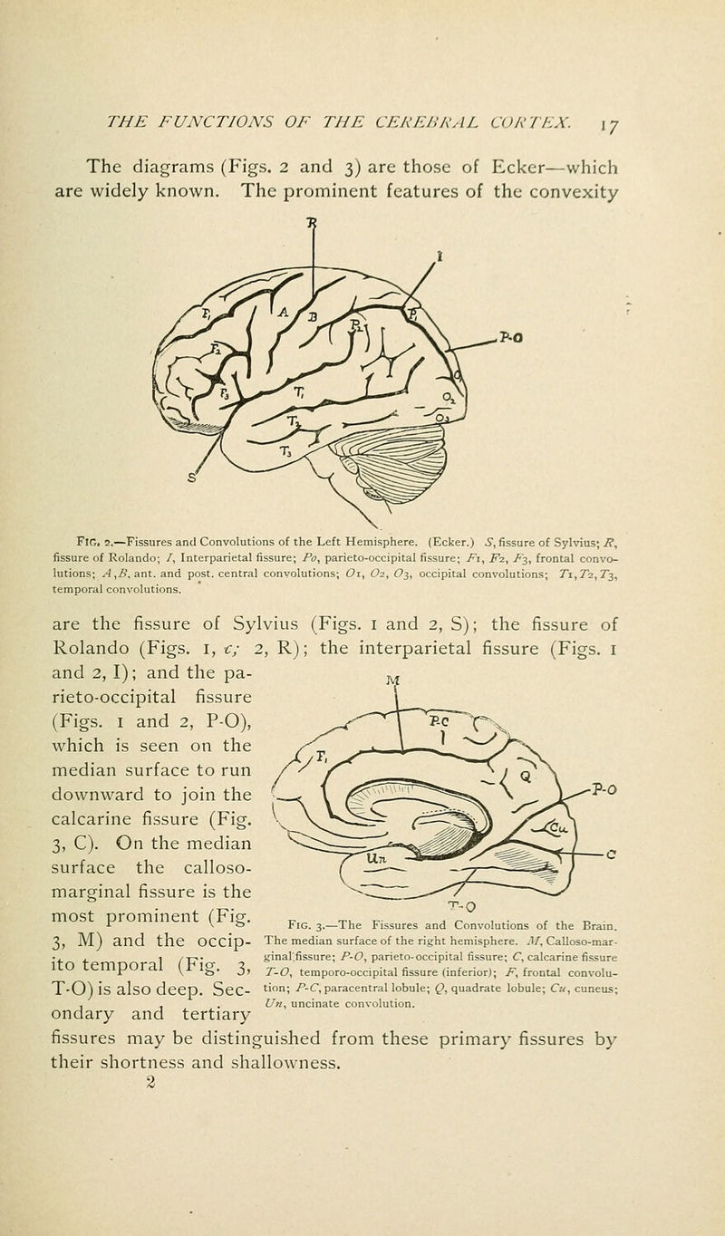 The diagrams (Figs. 2 and 3) are those of Ecker—which are widely known. The prominent features of the convexity P-o Fig. 2.—Fissures and Convolutions of the Left Hemisphere. (Ecker.) .J, fissure of Sylvius; R, fissure of Rolando; /, Interparietal fissure; Fo, parieto-occipital fissure; Fi, Fi, F3, frontal convo- lutions; A,B, ant. and post, central convolutions; Oi, O2, O3, occipital convolutions; 7*i,72, T-j, temporal convolutions. are the fissure of Sylvius (Figs, i and 2, S); the fissure of Rolando (Figs. 1, c; 2, R); the interparietal fissure (Figs. 1 and 2, I); and the pa- rieto-occipital fissure (Figs. 1 and 2, P-O), which is seen on the median surface to run downward to join the calcarine fissure (Fig. 3, C). On the median surface the calloso- marginal fissure is the most prominent (Fi^-. 1 \ o riG. 3.— lne rissures and Convolutions of the Brain. 3, M) and the OCCip- The median surface of the right hemisphere. M, Calloso-mar- -. . 1 /XT ginal.fissure; F-O, parieto-occipital fissure; C, calcarine fissure ltO temporal {tig. 3, to^ temporo-occipital fissure (inferior); i% frontal convolu- T-O) is also deep. SeC- ti°n; P-C, paracentral lobule; Q, quadrate lobule; Cu, cuneus; , , . U«, uncinate convolution. ondary and tertiary fissures may be distinguished from these primary fissures by their shortness and shallowness. 2