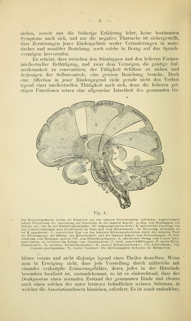 ziehen, soweit ims die bislierige Erfahrung' lehrt, keine hestimmten Symptome nach sich, und nur die negative Thatsache ist sichergestellt, dass Zerstörungen jener Rindengehiete weder Veränderungen in moto- rischer und sensibler Beziehung, noch solche in Bezug auf das Sprach- vermögen hervorrufen. Es scheint, dass zvvdschen den Stirnlappen und den höheren Formen intellectueller Bethätigung, und zwar dem Vermögen, die geistige Auf- merksamkeit zu couceutriren, der Fähigkeit Schltisse zu ziehen und derjenigen der Selbstcontrole, eine gewisse Beziehung bestehe. Doch eine Affection in jener Eindengegend zieht gerade nicht den Verlust irgend einer intellectuellen Thätigkeit nach sich, denn die höheren gei- stigen Functionen setzen eine allgemeine Intactheit des gesammten Ge- Fig. 4. Die ProjectionsfaserQ, welche die Hirnriede mit den unteren Xervencentren verbinden. Sagittalschnitt behufs Darstellung der Anordnung der Faserziige in der inneren Kapsel. A, Zug vom Stirnlappen zur Brücke und von da zur Kleinliirnhemisphäre der entgegengesetzten Seite; B, motorischer Kaserzug- von den Centralwindungen zum Facialiskern im Pens und zum Rückenmark: die Kreuzung desselben ist bei K angedeutet; C, sensorischer Zug von den hinteren Rückenmarkssänlen durch den hinteren Theil des Rückenmarks, der Brücke, des Hirnschenkels und der inner.-n Kapsel zum Parietallappen ; D, Seh- strahlung vom Thalamus opticus (OT) zum Hinterhauptlappen ; E, akustischer Strang vom Corpus inter- geniculatum, zu vs-elchem ein Strang vom Akustikuskern (J) zieht, zum Schläfelappen : F, oberer Kleiu- hirnschenkel ; G, mittlerer Kleinhirnschenkel; H, unterer Kleinhirnschenkel; CX, i^chweifkern; CQ, Corpora quadrigemina; Vt, vierter Ventrikel. Die Zahlenangaben bedeuten die Hirnnerven. hirnes voraus und nicht diejenige irgend eines Theiles desselben. Wenn man in Erwägung zieht, dass jede Vorstellung durch zahlreiche mit einander verknüpfte Erinnerungsbilder, deren jedes in der Hirnrinde besonders locahsirt ist, zustaudekommt, so ist es einleuchtend, dass der Denkprocess einen normalen Zustand der gesammten Binde und ebcns(> auch einen solchen der unter letzterer befindlichen weissen Substanz, in welcher die Associationsfasern hinziehen, erfordert. Es ist somit undenkbar.