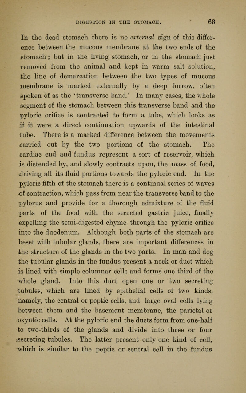 In the dead stomach there is no external sign of this differ- ence between the mucous membrane at the two ends of the stomach; but in the Hving stomach, or in the stomach just removed from the animal and kept in warm salt sokition, the line of demarcation between the two types of mucous membrane is marked externally by a deep furrow, often spoken of as the 'transverse band.' In many cases, the whole segment of the stomach between this transverse band and the pyloric orifice is contracted to form a tube, which looks as if it were a direct continuation upwards of the intestinal tube. There is a marked difierence between the movements carried out by the two portions of the stomach. The cardiac end and fundus represent a sort of reservoir, which is distended by, and slowly contracts upon, the mass of food, driving all its fluid portions towards the pyloric end. In the pyloric fifth of the stomach there is a continual series of waves of contraction, which pass from near the transverse band to the pylorus and provide for a thorough admixture of the fluid parts of the food with the secreted gastric juice, finally expelling the semi-digested chyme through the pyloric orifice into the duodenum. Although both parts of the stomach are beset with tubular glands, there are important differences in .the structure of the glands in the two parts. In man and dog the tubular glands in the fundus present a neck or duct which is lined with simple columnar cells and forms one-third of the whole gland. Into this duct open one or two secreting tubules, which are lined by epithelial cells of two kinds, namely, the central or peptic cells, and large oval cells lying between them and the basement membrane, the parietal or oxyntic cells. At the pyloric end the ducts form from one-half to two-thirds of the glands and divide into three or four secreting tubules. The latter present only one kind of cell, which is similar to the pejDtic or central cell in the fundus