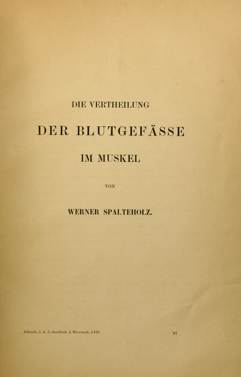 DIE VERTHEILÜNG DER BLUTGEFÄSSE IM MUSKEL VON WERNER SPALTEHOLZ. Al.liriii.il. (1. K. S. OosfOlsrli. <1. WisHf^nKrh. XXIV. 37