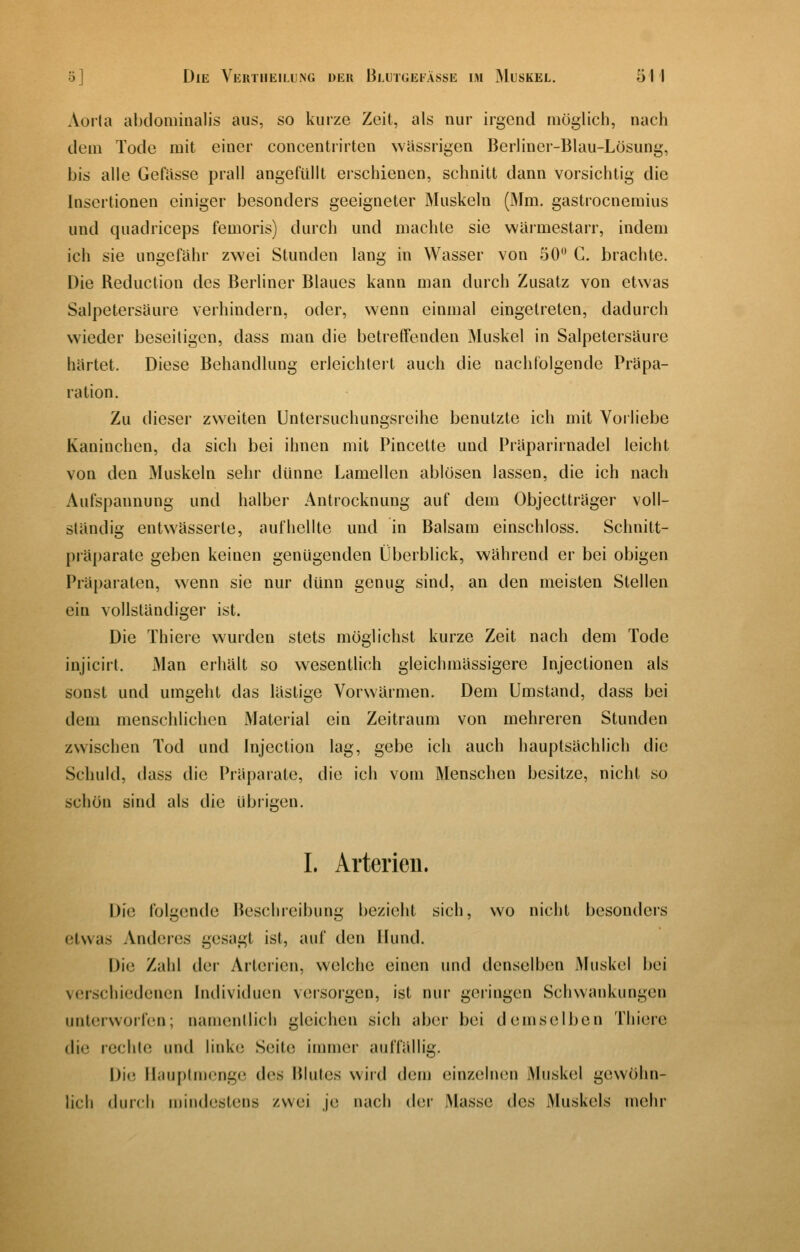 Aorta abdominalis aus, so kurze Zeit, als nur irgend möglich, nach dem Tode mit einer concentrirten wässrigen Berliner-Blau-Lösung, bis alle Geftisse prall angefüllt erschienen, schnitt dann vorsichtig die Insertionen einiger besonders geeigneter Muskeln (Mm. gastrocneraius und quadriceps femoris) durch und machte sie wärmestarr, indem ich sie ungefähr zwei Stunden lang in Wasser von 50 G. brachte. Die Reduction des Berliner Blaues kann man durch Zusatz von etwas Salpetersaure verhindern, oder, wenn einmal eingetreten, dadurch wieder beseitigen, dass man die betreffenden Muskel in Salpetersäure härtet. Diese Behandlung erleichtert auch die nachfolgende Präpa- ration. Zu dieser zweiten Unlersuchungsreihe benutzte ich mit Vorliebe Kaninchen, da sich bei ihnen mit Pincette und Präparirnadel leicht von den Muskeln sehr dünne Lamellen ablösen lassen, die ich nach Aufspannung und halber Antrocknung auf dem Objectträger voll- ständig entwässerte, aufhellte und in Balsam einschloss. Schnitt- präparate geben keinen genügenden Überblick, während er bei obigen Präparaten, wenn sie nur dimn genug sind, an den meisten Stellen ein vollständiger ist. Die Thiere wurden stets möglichst kurze Zeit nach dem Tode injicirt. Man erhält so wesentlich gleichmässigere Injectionen als sonst und umgeht das lästige Vorwärmen. Dem Umstand, dass bei dem menschlichen Material ein Zeitraum von mehreren Stunden zwischen Tod und Injection lag, gebe ich auch hauptsächlich die Schuld, dass die Präpaiate, die ich vom Menschen besitze, nicht so schön sind als die übrigen. I. Arterien. Die folgende Beschreibung bezieht sich, wo nicht besonders etwas Anderes gesagt ist, auf den Hund. Die Zahl der Arterien, welche einen und denselben Muskel bei verschiedenen Individuen versorgen, ist nur geringen Schwankungen unterworfen; namentlich gleichen sich aber bei demselben Thiere die rechte und linke Seite immer auffällig. Die Hauptnicngc des Blutes wird dem einzelnen Muskel gewöhn- lich durch mindestens zwei je nach (Um* Masse des Muskels mehr