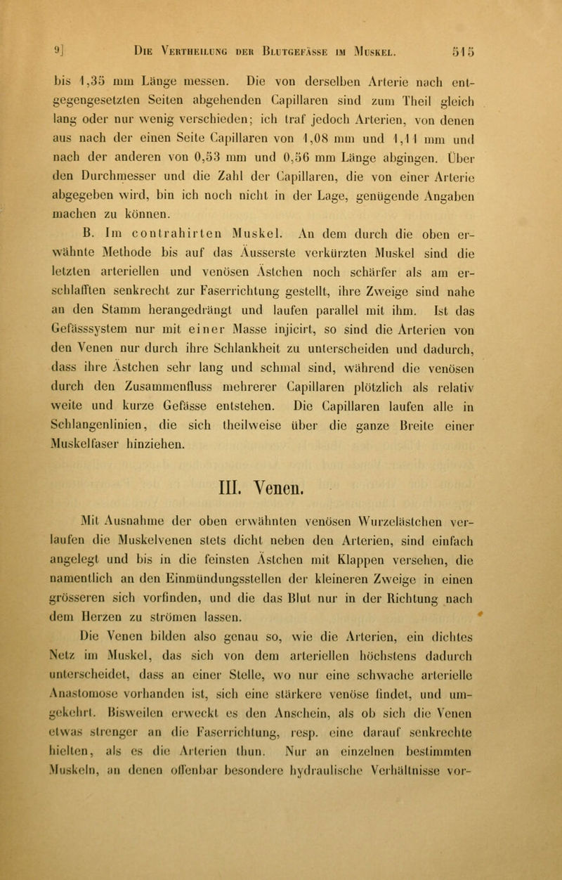 bis 1,35 mm Länge messen. Die von derselben Arterie nüch ent- gegengesetzten Seiten abgehenden Capillaren sind zum Theil gleich lang oder nur wenig verschieden; ich traf jedoch Arterien, von denen aus nach der einen Seite Capillaren von 1,08 mm und 1,11 mm und nach der anderen von 0,53 mm und 0,56 mm Länge abgingen. Über den Durchmesser und die Zahl der Capillaren, die von einer Arterie abgegeben wird, bin ich noch nicht in der Lage, genügende Angaben machen zu können. B. Im Contrahirten Muskel. An dem durch die oben er- wähnte Methode bis auf das Äusserste verkürzten Muskel sind die letzten arteriellen und venösen Ästchen noch schärfer als am er- schlafften senkrecht zur Faserrichtung gestellt, ihre Zweige sind nahe an den Stamm herangedrängt und laufen parallel mit ihm. Ist das Gefässsystem nur mit einer Masse injicirt, so sind die Arterien von den Venen nur durch ihre Schlankheit zu unterscheiden und dadurch, dass ihre Ästchen sehr lang und schmal sind, während die venösen durch den Zusammenfluss mehrerer Capillaren plötzlich als relativ weite und kurze Gefässe entstehen. Die Capillaren laufen alle in Schlangenlinien, die sich theilweise über die ganze Breite einer Muskelfaser hinziehen. III. Venen. Mit Ausnahme der oben erwähnten venösen Wurzelästchen ver- laufen die Muskelvenen stets dicht neben den Arterien, sind einfach angelegt und bis in die feinsten Ästchen mit Klappen versehen, die namentlich an den Einmündungsstellen der kleineren Zweige in einen grösseren sich vorfinden, und die das Blut nur in der Richtung nach dem Herzen zu strömen lassen. Die Venen bilden also genau so, wie die Arterien, ein dichtes Netz im Muskel, das sich von dem arteriellen höchstens dadurch unterscheidet, dass an einer Stelle, wo nur eine schwache arterielle Anastomose vorhanden ist, sich eine stärkere venöse findet, und um- gekehrt. Bisweilen (Mvveckt es den Anschein, als ob sich die Venen etwas strenger an die Faserrichtung, resp. eine darauf senkrechte hielten, als es die Arl(!rioii lliun. Nur an einzelnen bestimmten .Muskeln, im denen ollenbar besondere hydraulische Verhältnisse vor-