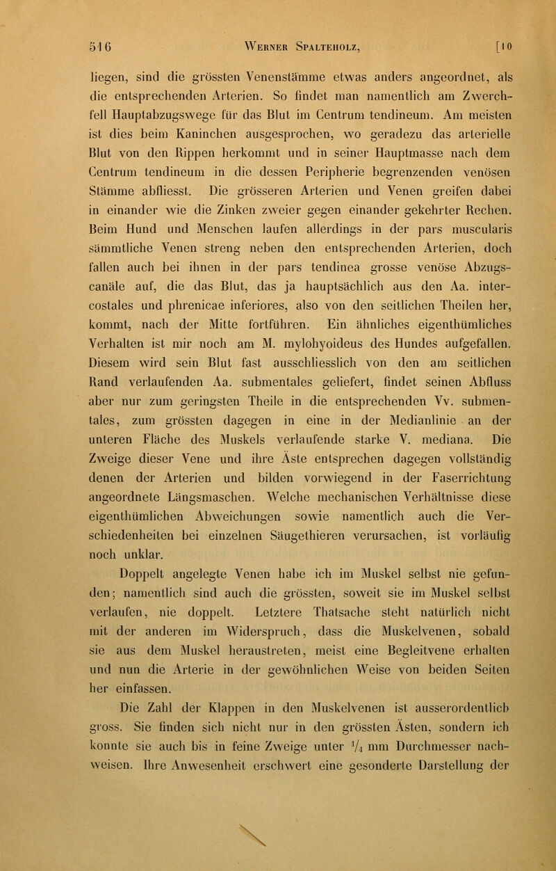 liegen, sind die grössten Venenstämme etwas anders angeordnet, als die entsprechenden Arterien. So findet man namentlich am Zwerch- fell Hauptabzugswege für das Blut im Centrum tendineum. Am meisten ist dies beim Kaninchen ausgesprochen, wo geradezu das arterielle Blut von den Rippen herkommt und in seiner Hauptmasse nach dem Centrum tendineum in die dessen Peripherie begrenzenden venösen Stämme abfliesst. Die grösseren Arterien und Venen greifen dabei in einander wie die Zinken zweier gegen einander gekehrter Rechen. Beim Hund und Menschen laufen allerdings in der pars muscularis sämmtliche Venen streng neben den entsprechenden Arterien, doch fallen auch bei ihnen in der pars tendinea grosse venöse Abzugs- canäle auf, die das Blut, das ja hauptsächlich aus den Aa. inter- costales und phrenicae inferiores, also von den seitlichen Theilen her, kommt, nach der Mitte fortführen. Ein ähnliches eigenthümliches Verhalten ist mir noch am M. mylohyoideus des Hundes aufgefallen. Diesem wird sein Blut fast ausschliesslich von den am seitlichen Rand verlaufenden Aa. submentales geliefert, findet seinen Abfluss aber nur zum geringsten Theile in die entsprechenden Vv. submen- tales, zum grössten dagegen in eine in der Medianlinie an der unteren Fläche des Muskels verlaufende starke V. mediana. Die Zweige dieser Vene und ihre Äste entsprechen dagegen vollständig denen der Arterien und bilden vorwiegend in der Faserrichtung angeordnete Längsmaschen. Welche mechanischen Verhältnisse diese eigenthümlichen Abweichungen sowie namentlich auch die Ver- schiedenheiten bei einzelnen Säugethieren verursachen, ist vorläufig noch unklar. Doppelt angelegte Venen habe ich im Muskel selbst nie gefun- den; namentlich sind auch die grössten, soweit sie im Muskel selbst verlaufen, nie doppelt. Letztere Thatsache steht natürlich nicht mit der anderen im Widerspruch, dass die Muskelvenen, sobald sie aus dem Muskel heraustreten, meist eine Begleitvene erhalten und nun die Arterie in der gewöhnlichen Weise von beiden Seiten her einfassen. Die Zahl der Klappen in den Muskelvenen ist ausserordentlich gross. Sie finden sich nicht nur in den grössten Ästen, sondern ich konnte sie auch bis in feine Zweige unter V4 nim Durchmesser nach- weisen. Ihre Anwesenheit erschwert eine gesonderte Darstellung der