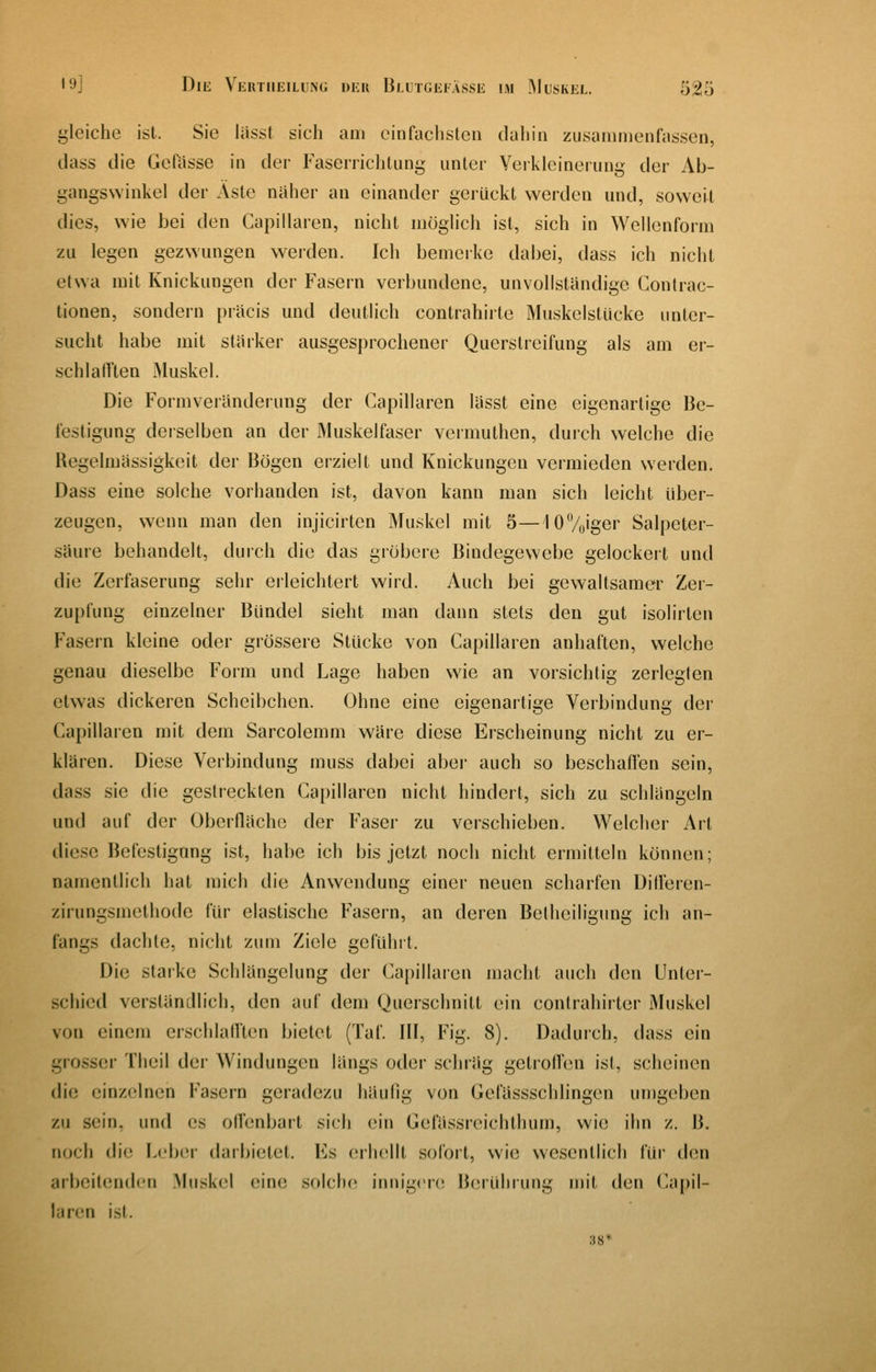 gleiche ist. Sie liisst sich am einfachsten dahin zusammenfassen, dass die Gefiisse in der Faserrichtung unter Verkleinerung der Ab- gangswinkel der Äste naher an einander gerückt werden und, soweit dies, wie bei den Capillaren, nicht möglich ist, sich in Wellenform zu legen gezwungen werden. Ich bemerke dabei, dass ich nicht etwa mit Knickungen der Fasern verbundene, unvollständige Conlrac- tionen, sondern pritcis und deuthch contrahirte Muskelstücke unter- sucht habe mit staiker ausgesprochener Querstreifung als am er- schlafften Muskel. Die Formveränderung der Capillaren lasst eine eigenartige Be- festigung derselben an der Muskelfaser vermuthen, durch welche die Regelmässigkeit der Bögen erzielt und Knickungen vermieden werden. Dass eine solche vorhanden ist, davon kann man sich leicht über- zeugen, wenn man den injicirten Muskel mit 5—lOVoiger Salpeter- säure behandelt, durch die das gröbere Bindegewebe gelockert und die Zerfaserung sehr erleichtert wird. Auch bei gewaltsamer Zer- zupfung einzelner Bündel sieht man dann stets den gut isolirten Fasern kleine oder grössere Stücke von Capillaren anhaften, welche genau dieselbe Form und Lage haben wie an vorsichtig zerlegten etwas dickeren Scheibchen. Ohne eine eigenartige Verbindung der Capillaren mit dem Sarcolemm wäre diese Erscheinung nicht zu er- klären. Diese Verbindung muss dabei aber auch so beschaffen sein, dass sie die gestreckten Capillaren nicht hindert, sich zu schlängeln und auf der Oberfläche der Faser zu verschieben. Welcher Art diese Befestigung ist, habe ich bis jetzt noch nicht ermitteln können; namentlich hat mich die Anwendung einer neuen scharfen Ditl'eren- zirungsmethode für elastische Fasern, an deren Betheiligung ich an- fangs dachte, nicht zum Ziele geführt. Die starke Schlängelung der Capillaien macht auch den Unter- schied versländlich, den auf dem Querschnitt ein contrahirter Muskel von einem erschlafften bietet (Taf. III, Fig. 8). Dadurch, dass ein grosser Theil der Windungen längs oder schräg getroffen ist, scheinen die einzelnen Fasern geradezu häufig von Gefässschlingen umgeben zu sein, und es offenbart sich ein Gefä.ssrcichthum, wie ihn z. B. noch die Leber darjjietet. Es erhellt sofort, wie wesentlich für den arbeitenden Muskel eine solche innigere Berührung mit den Capil- laren ist. 38*