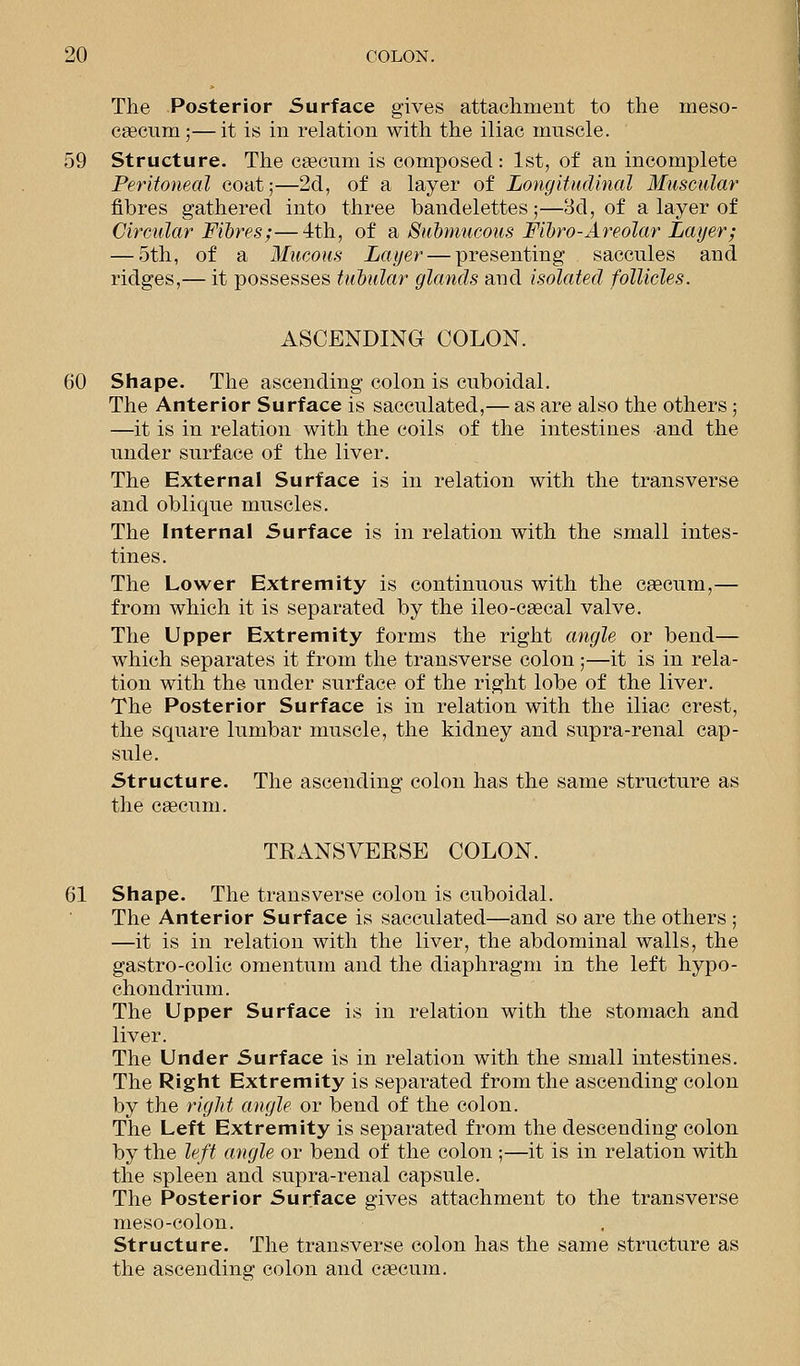 The Posterior Surface gives attachment to the meso- caecum;—it is in relation with the iliac muscle. 59 Structure. The caecum is composed: 1st, of an incomplete Peritoneal coat;—2d, of a layer of Longitudinal Muscular fibres gathered into three bandelettes;—3d, of a layer of Circular Fibres;—4th, of a Submucous Fibro-Areolar Layer; — 5th, of a Mucous Layer — presenting saccules and ridges,— it possesses tubular glands and isolated follicles. ASCENDING COLON. 60 Shape. The ascending colon is cuboidal. The Anterior Surface is sacculated,— as are also the others ; —it is in relation with the coils of the intestines and the under surface of the liver. The External Surface is in relation with the transverse and oblique muscles. The Internal Surface is in relation with the small intes- tines. The Lower Extremity is continuous with the caecum,— from which it is separated by the ileo-eaecal valve. The Upper Extremity forms the right angle or bend— which separates it from the transverse colon;—it is in rela- tion with the under surface of the right lobe of the liver. The Posterior Surface is in relation with the iliac crest, the square lumbar muscle, the kidney and supra-renal cap- sule. Structure. The ascending colon has the same structure as the caecum. TRANSVERSE COLON. 61 Shape. The transverse colon is cuboidal. The Anterior Surface is sacculated—and so are the others ; —it is in relation with the liver, the abdominal walls, the gastro-colic omentum and the diaphragm in the left hypo- chondrium. The Upper Surface is in relation with the stomach and liver. The Under Surface is in relation with the small intestines. The Right Extremity is separated from the ascending colon by the right angle or bend of the colon. The Left Extremity is separated from the descending colon by the left angle or bend of the colon ;—it is in relation with the spleen and supra-renal capsule. The Posterior Surface gives attachment to the transverse meso-colon. Structure. The transverse colon has the same structure as the ascending colon and caecum.