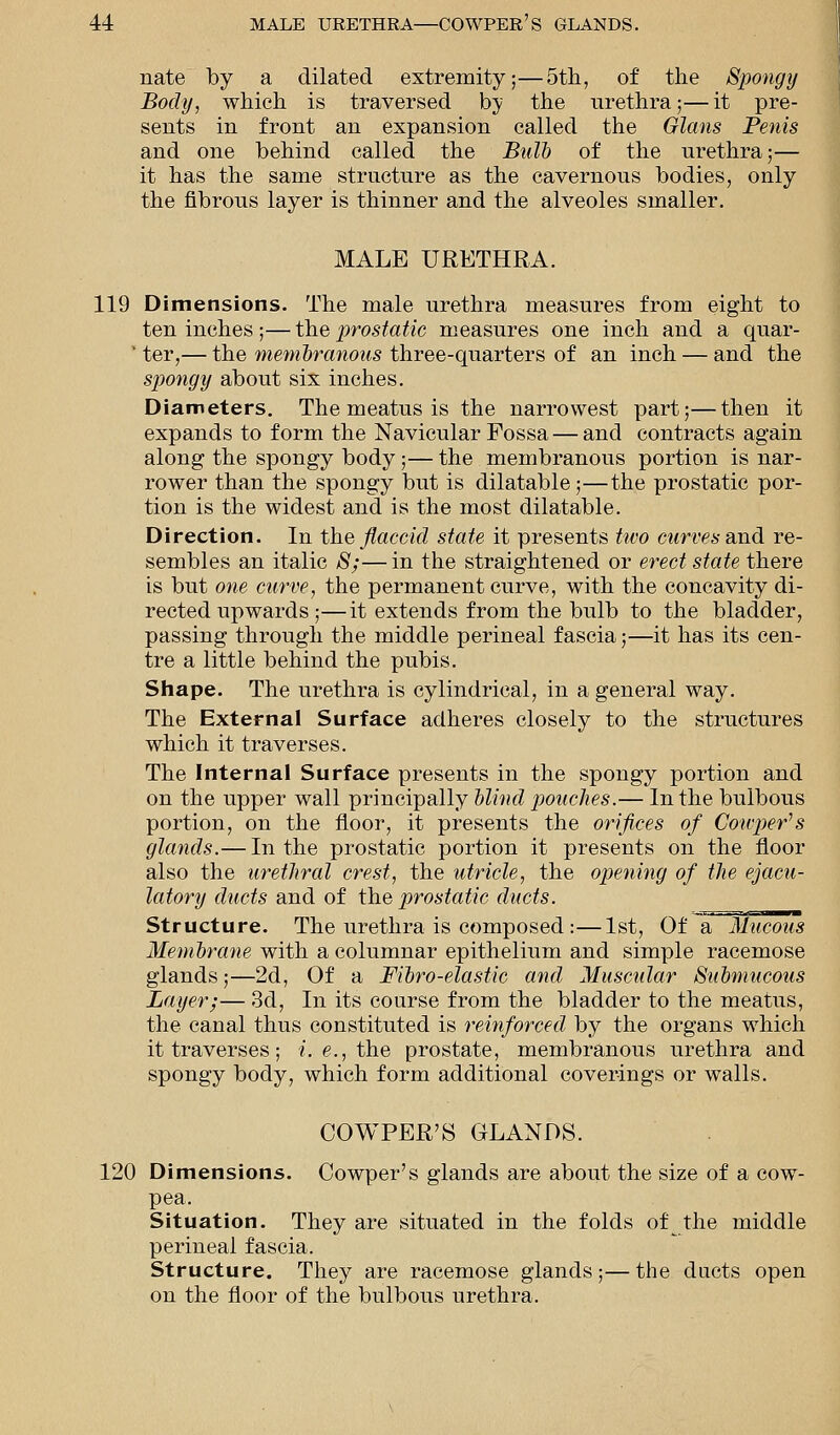 nate by a dilated extremity;—5th, of the Spongy Body, which is traversed by the urethra;— it pre- sents in front an expansion called the Glans Penis and one behind called the Bulb of the nrethra;— it has the same structure as the cavernous bodies, only the fibrous layer is thinner and the alveoles smaller. MALE URETHRA. 119 Dimensions. The male urethra measures from eight to ten inches ;— the prostatic measures one inch and a quar-  ter,— the membranous three-quarters of an inch — and the spongy about six inches. Diameters. The meatus is the narrowest part;—then it expands to form the Navicular Fossa — and contracts again along the spongy body;— the membranous portion is nar- rower than the spongy but is dilatable;—the prostatic por- tion is the widest and is the most dilatable. Direction. In the flaccid state it presents two curves and re- sembles an italic #;—in the straightened or erect state there is but one curve, the permanent curve, with the concavity di- rected upwards ;— it extends from the bulb to the bladder, passing through the middle perineal fascia;—it has its cen- tre a little behind the pubis. Shape. The urethra is cylindrical, in a general way. The External Surface adheres closely to the structures which it traverses. The Internal Surface presents in the spongy portion and on the upper wall principally blind pouches.— In the bulbous portion, on the floor, it presents the orifices of Couper's glands.— In the prostatic portion it presents on the floor also the urethral crest, the utricle, the opening of the ejacu- latory ducts and of the prostatic ducts. Structure. The urethra is composed :—1st, Of a Mucous Membrane with a columnar epithelium and simple racemose glands;—2d, Of a Fibro-elastic and Muscular Submucous Layer;— 3d, In its course from the bladder to the meatus, the canal thus constituted is reinforced by the organs which it traverses; i.e.,. the prostate, membranous urethra and spongy body, which form additional coverings or walls. COWPER'S GLANDS. 120 Dimensions. Cowper's glands are about the size of a cow- pea. Situation. They are situated in the folds of the middle perineal fascia. Structure. They are racemose glands;—the ducts open on the floor of the bulbous urethra.