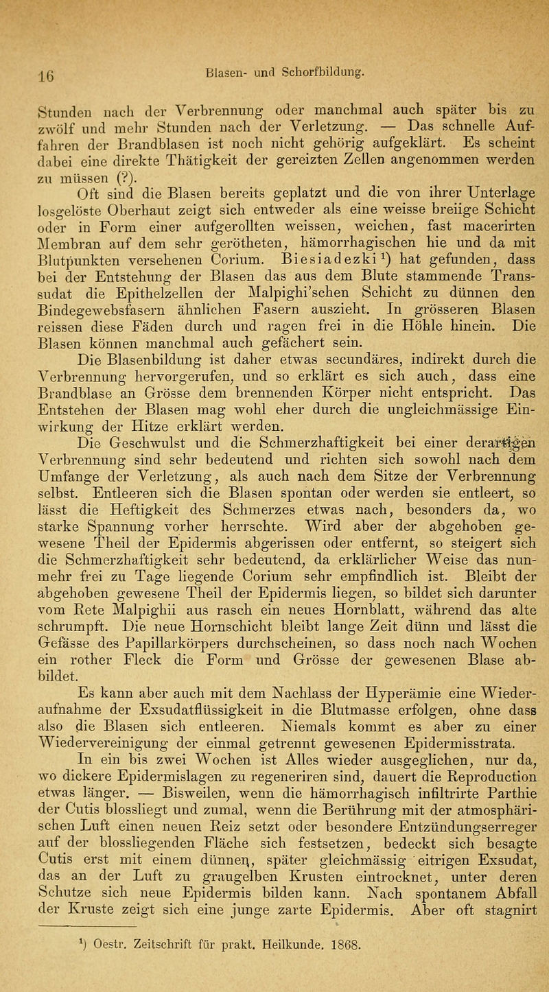 Ig Blasen- und Schorfbildung. Stunden nach der Verbrennung oder manchmal auch später bis zu zwölf und mehr Stunden nach der Verletzung. — Das schnelle Auf- fahren der Brandblasen ist noch nicht gehörig aufgeklärt. Es scheint dabei eine direkte Thätigkeit der gereizten Zellen angenommen werden zu müssen (?). Oft sind die Blasen bereits geplatzt und die von ihrer Unterlage losgelöste Oberhaut zeigt sich entweder als eine weisse breiige Schicht oder in Form einer aufgerollten weissen, weichen, fast macerirten Membran auf dem sehr gerötheten, hämorrhagischen hie und da mit Bliitpunkten versehenen Corium. Biesiadezki ^) hat gefunden, dass bei der Entstehung der Blasen das aus dem Blute stammende Trans- sudat die Epithelzellen der Malpighi'schen Schicht zu dünnen den Bindegewebsfasern ähnlichen Fasern auszieht. In grösseren Blasen reissen diese Fäden durch und ragen frei in die Höhle hinein. Die Blasen können manchmal auch gefächert sein. Die Blasenbildung ist daher etwas secundäres, indirekt durch die Verbrennung hervorgerufen, und so erklärt es sich auch, dass eine Brandblase an Grösse dem brennenden Körper nicht entspricht. Das Entstehen der Blasen mag wohl eher durch die ungleichmässige Ein- wirkung der Hitze erklärt werden. Die Geschwulst und die Schmerzhaftigkeit bei einer derart!;g'en Verbrennung sind sehr bedeutend und richten sich sowohl nach dem Umfange der Verletzung, als auch nach dem Sitze der Verbrennung selbst. Entleeren sich die Blasen spontan oder werden sie entleert, so lässt die Heftigkeit des Schmerzes etwas nach, besonders da, wo starke Spannung vorher herrschte. Wird aber der abgehoben ge- wesene Theil der Epidermis abgerissen oder entfernt, so steigert sich die Schmerzhaftigkeit sehr bedeutend, da erklärlicher Weise das nun- mehr frei zu Tage liegende Corium sehr empfindlich ist. Bleibt der abgehoben gewesene Theil der Epidermis liegen, so bildet sich darunter vom Rete Malpighii aus rasch ein neues Hornblatt, während das alte schrumpft. Die neue Hornschicht bleibt lange Zeit dünn und lässt die Gefässe des Papillarkörpers durchscheinen, so dass noch nach Wochen ein rother Fleck die Form und Grösse der gewesenen Blase ab- bildet. Es kann aber auch mit dem Nachlass der Hyperämie eine Wieder- aufnahme der Exsudatflüssigkeit in die Blutmasse erfolgen, ohne dass also die Blasen sich entleeren. Niemals kommt es aber zu einer Wiedervereinigung der einmal getrennt gewesenen Epidermisstrata. In ein bis zwei Wochen ist Alles wieder ausgeglichen, nur da, wo dickere Epidermislagen zu regeneriren sind, dauert die Reproduction etwas länger. — Bisweilen, wenn die hämorrhagisch infiltrirte Parthie der Cutis blossliegt und zumal, wenn die Berührung mit der atmosphäri- schen Luft einen neuen Reiz setzt oder besondere Entzündungserreger auf der blossliegenden Fläche sich festsetzen, bedeckt sich besagte Cutis erst mit einem dünnen, später gleichmässig eitrigen Exsudat, das an der Luft zu graugelben Krusten eintrocknet, unter deren Schutze sich neue Epidermis bilden kann. Nach spontanem Abfall der Kruste zeigt sieh eine junge zarte Epidermis. Aber oft stagnirt