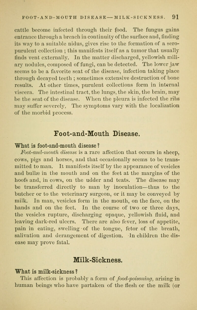 cattle become infected through their food. The fungus gains entrance through a breach in continuity of the surface and, finding its way to a suitable nidus, gives rise to the formation of a sero- purulent collection ; this manifests itself as a tumor that usually finds vent externally. In the matter discharged, yellowish mili- ary nodules, composed of fungi, can be detected. The lower jaw seems to be a favorite seat of the disease, infection taking place through decayed teeth ; sometimes extensive destruction of bone results. At other times, purulent collections form in internal viscera. The intestinal tract, the lungs, the skin, the brain, may be the seat of the disease. When the pleura is infected the ribs may suffer severely. The symptoms vary with the localization of the morbid process. Foot-and-Mouth Disease. What is foot-and-mouth disease ? Foot-and-mouth disease is a rare affection that occurs in sheep, cows, pigs and horses, and that occasionally seems to be trans- mitted to man. It manifests itself by the appearance of vesicles and bullae in the mouth and on the feet at the margins of the hoofs and, in cows, on the udder and teats. The disease ma}^ be transferred directly to man by inoculation—thus to the butcher or to the veterinary surgeon, or it may be conveyed by milk. In man, vesicles form in the mouth, on the face, on the hands and on the feet. In the course of two or three days, the vesicles rupture, discharging opaque, yellowish fluid, and leaving dark-red ulcers. There are also fever, loss of appetite, pain in eating, swelling ■ of the tongue, fetor of the breath, salivation and derangement of digestion. In children the dis- ease may prove fatal. Milk-Sickness. What is milk-sickness ? This affection is probably a form of food-poisoning, arising in human beings who have partaken of the flesh or the milk (or