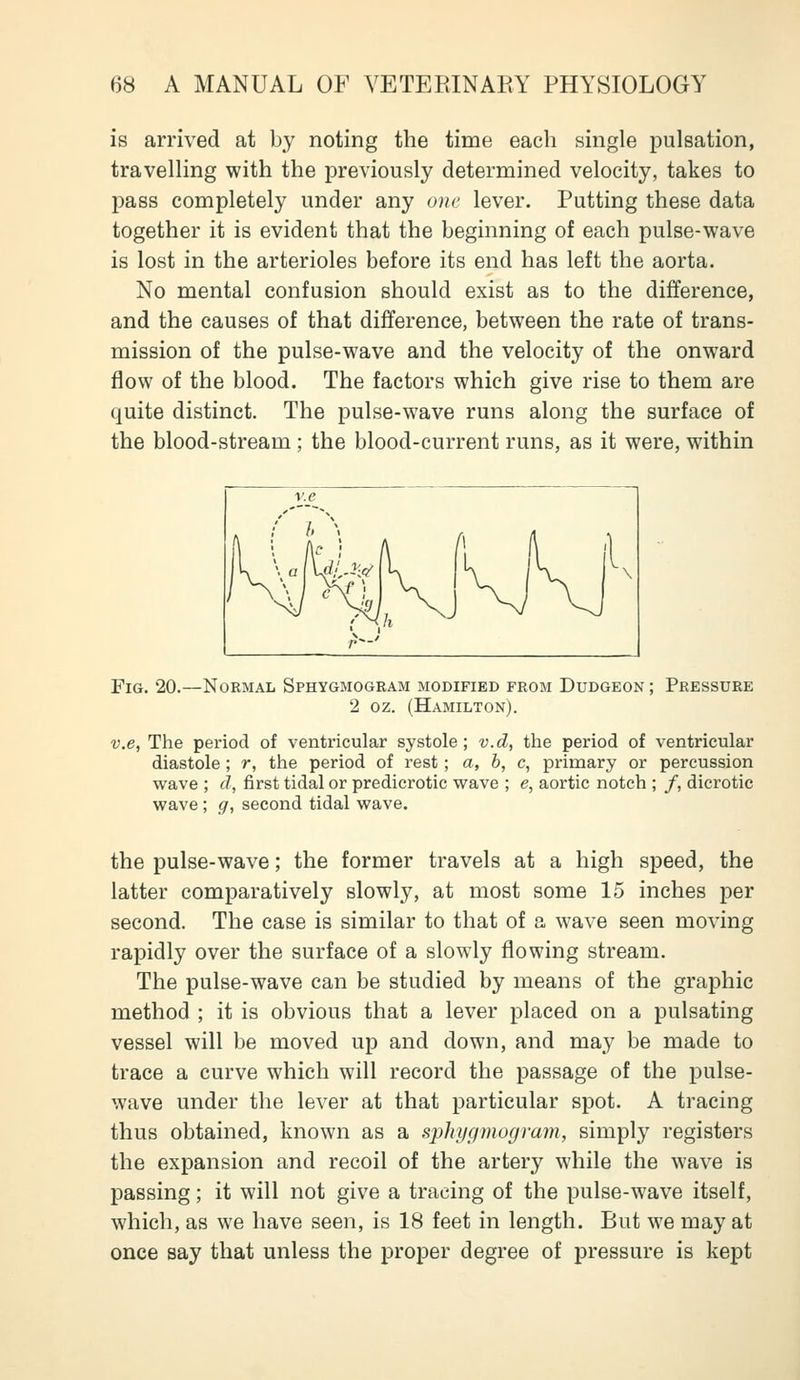 is arrived at by noting the time each single pulsation, travelling with the previously determined velocity, takes to pass completely under any one lever. Putting these data together it is evident that the beginning of each pulse-wave is lost in the arterioles before its end has left the aorta. No mental confusion should exist as to the difference, and the causes of that difference, between the rate of trans- mission of the pulse-wave and the velocity of the onward flow of the blood. The factors which give rise to them are quite distinct. The pulse-wave runs along the surface of the blood-stream; the blood-current runs, as it were, within Fig. 20.—Normal Sphygmogram modified from Dudgeon ; Pressure 2 oz. (Hamilton). v.e, The period of ventricular systole ; v.d, the period of ventricular diastole ; r, the period of rest; a, b, c, primary or percussion wave ; d, first tidal or predicrotic wave ; e, aortic notch ; /, dicrotic wave; g, second tidal wave. the pulse-wave; the former travels at a high speed, the latter comparatively slowly, at most some 15 inches per second. The case is similar to that of a wave seen moving rapidly over the surface of a slowly flowing stream. The pulse-wave can be studied by means of the graphic method ; it is obvious that a lever placed on a pulsating vessel will be moved up and down, and may be made to trace a curve which will record the passage of the pulse- wave under the lever at that particular spot. A tracing thus obtained, known as a sjyhygmogram, simply registers the expansion and recoil of the artery while the wave is passing; it will not give a tracing of the pulse-wave itself, which, as we have seen, is 18 feet in length. But we may at once say that unless the proper degree of pressure is kept