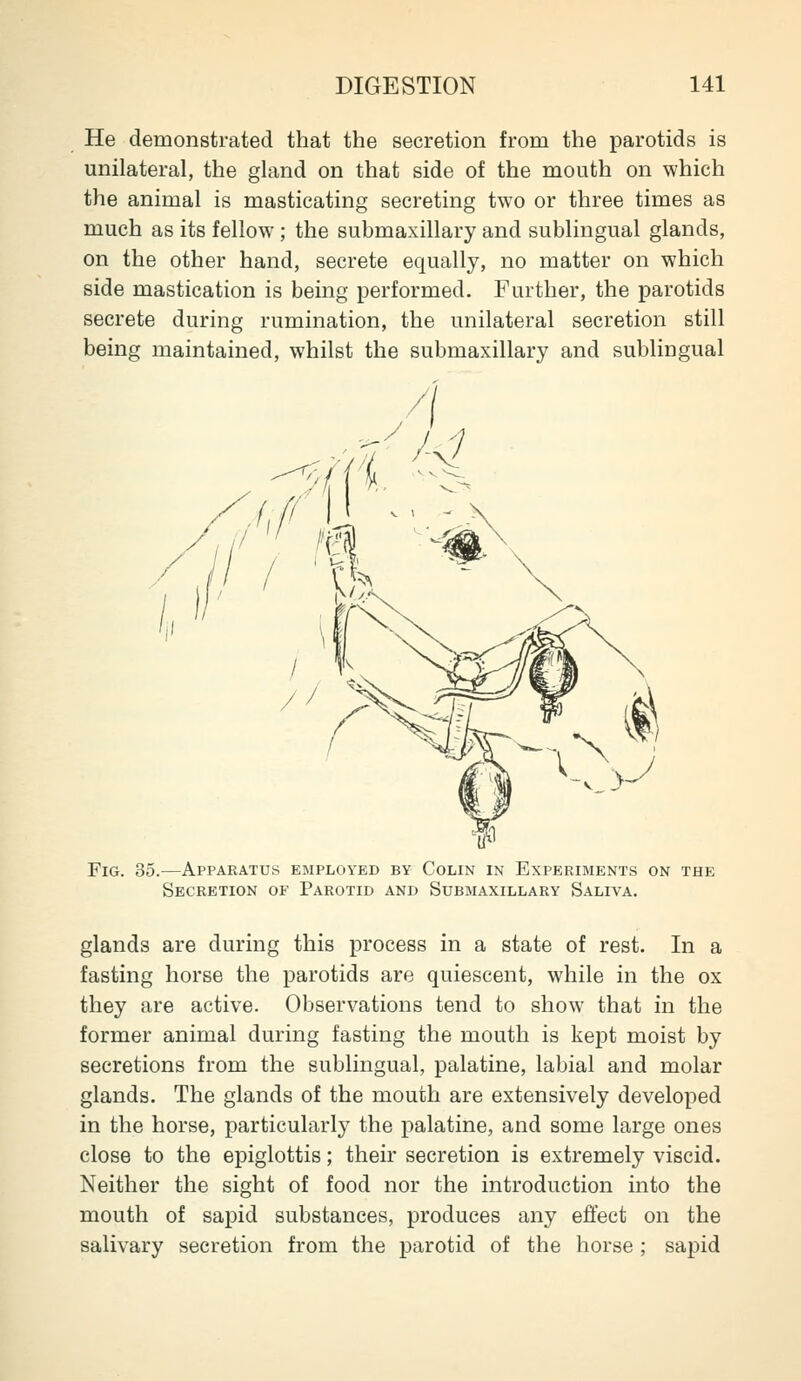 He demonstrated that the secretion from the parotids is unilateral, the gland on that side of the mouth on which the animal is masticating secreting two or three times as much as its fellow; the submaxillary and sublingual glands, on the other hand, secrete equally, no matter on which side mastication is being performed. Further, the parotids secrete during rumination, the unilateral secretion still being maintained, whilst the submaxillary and sublingual Fig. 35.—Apparatus employed by Colin in Experiments on the Secretion of Parotid and Submaxillary Saliva. glands are during this process in a state of rest. In a fasting horse the parotids are quiescent, while in the ox they are active. Observations tend to show that in the former animal during fasting the mouth is kept moist by secretions from the sublingual, palatine, labial and molar glands. The glands of the mouth are extensively developed in the horse, particularly the palatine, and some large ones close to the epiglottis; their secretion is extremely viscid. Neither the sight of food nor the introduction into the mouth of sapid substances, produces any effect on the salivary secretion from the parotid of the horse ; sapid