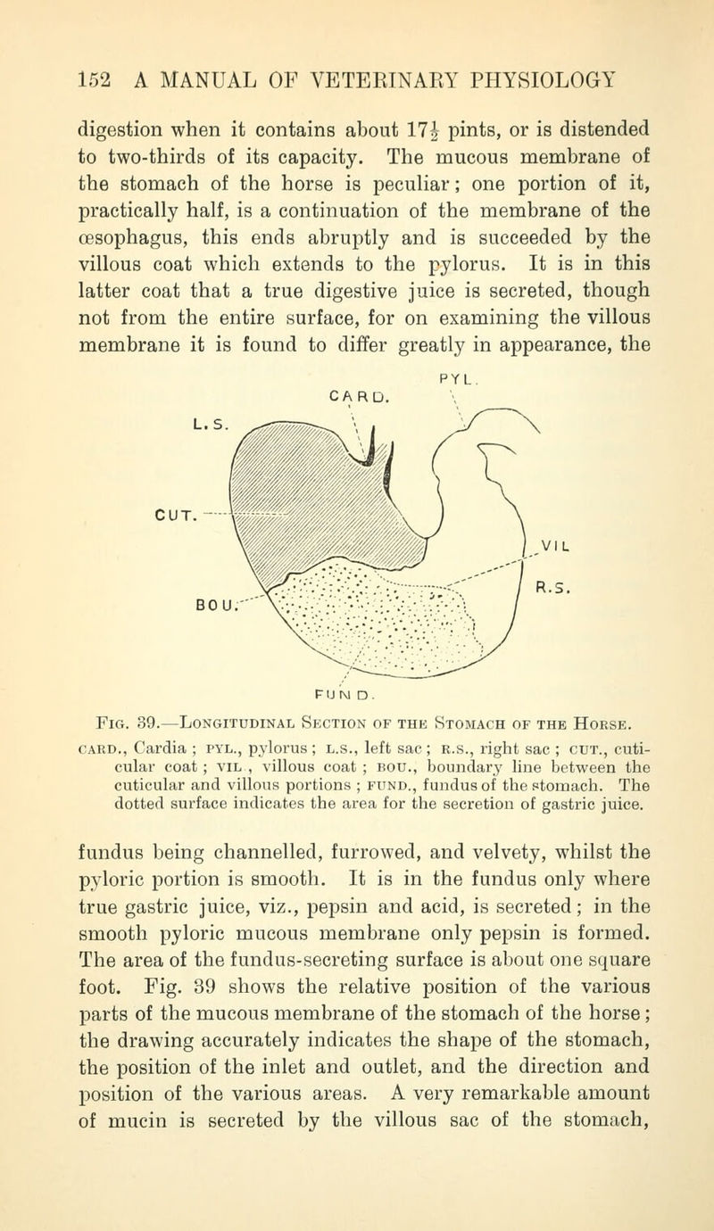 digestion when it contains about 17i pints, or is distended to two-thirds of its capacity. The mucous membrane of the stomach of the horse is peculiar; one portion of it, practically half, is a continuation of the membrane of the oesophagus, this ends abruptly and is succeeded by the villous coat which extends to the pylorus. It is in this latter coat that a true digestive juice is secreted, though not from the entire surface, for on examining the villous membrane it is found to differ greatly in appearance, the PYL. CARD. L.S CUT. BOU FUN D . Fig. 39.—Longitudinal Section of the Stomach of the Horse. CARD., Cardia ; pyl., pylorus ; l.s., left sac ; r.s., right sac ; cut., cuti- cular coat ; vil , villous coat ; sou., boundary line between the cuticular and villous portions ; fund., fundus of the stomach. The dotted surface indicates the area for the secretion of gastric juice. fundus being channelled, furrowed, and velvety, whilst the pyloric portion is smooth. It is in the fundus only where true gastric juice, viz., pepsin and acid, is secreted; in the smooth pyloric mucous membrane only pepsin is formed. The area of the fundus-secreting surface is about one square foot. Fig. 39 shows the relative position of the various parts of the mucous membrane of the stomach of the horse; the drawing accurately indicates the shape of the stomach, the position of the inlet and outlet, and the direction and position of the various areas. A very remarkable amount of mucin is secreted by the villous sac of the stomach,