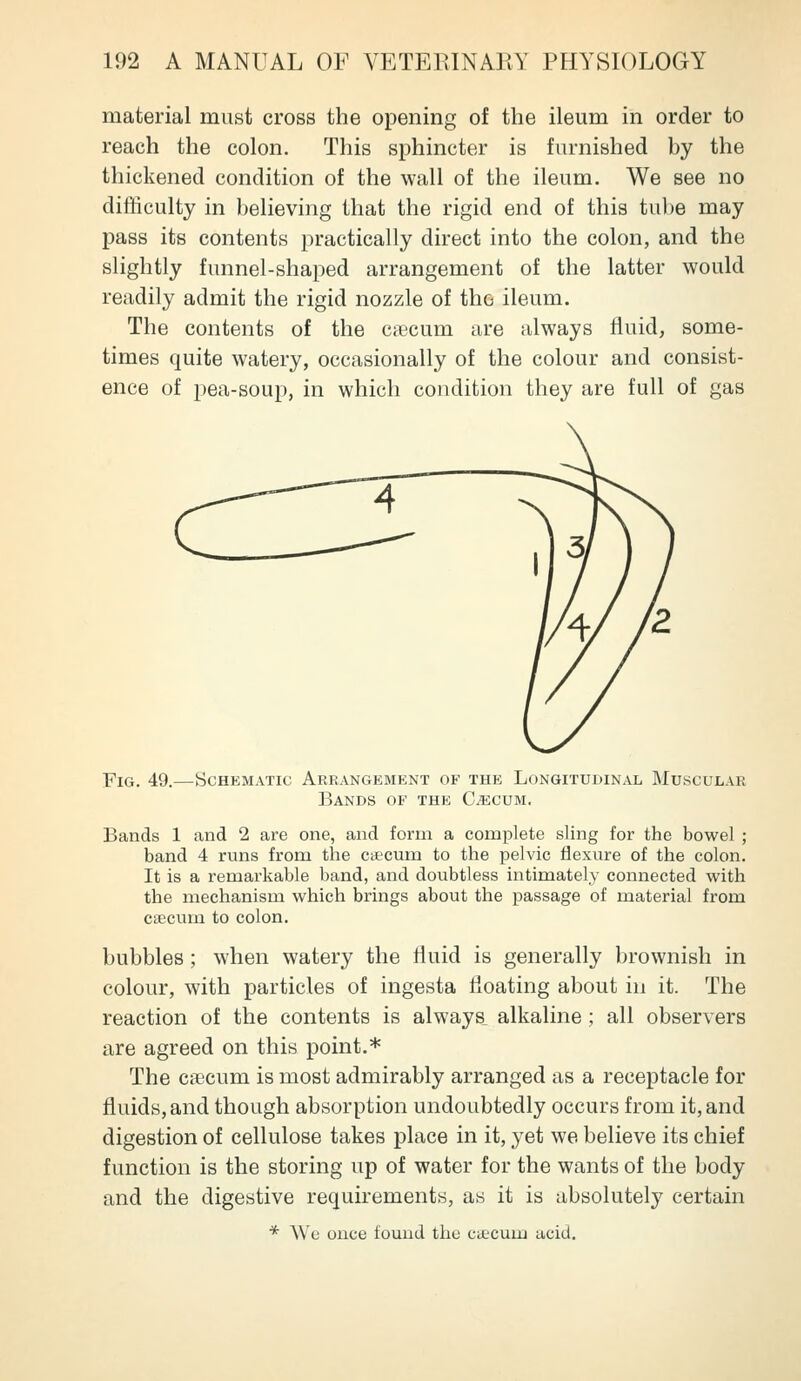 material must cross the opening of the ileum in order to reach the colon. This sphincter is furnished by the thickened condition of the wall of the ileum. We see no difficulty in believing that the rigid end of this tul)e may pass its contents practically direct into the colon, and the slightly funnel-shaped arrangement of the latter would readily admit the rigid nozzle of the ileum. The contents of the caecum are always fluid, some- times quite watery, occasionally of the colour and consist- ence of pea-soup, in which condition they are full of gas Fig. 49.—Schematic Arrangkment of the Longitudinal Muscular Bands of the C^cum. Bands 1 and 2 are one, and form a complete sling for the bowel ; band 4 runs from the cttcum to the pelvic fiexure of the colon. It is a remarkable band, and doubtless intimately connected with the mechanism which brings about the passage of material from caecum to colon. bubbles ; when watery the fluid is generally brownish in colour, with particles of ingesta floating about in it. The reaction of the contents is always, alkaline ; all observers are agreed on this point.* The caicum is most admirably arranged as a receptacle for fluids, and though absorption undoubtedly occurs from it, and digestion of cellulose takes place in it, yet we believe its chief function is the storing up of water for the wants of the body and the digestive requirements, as it is absolutely certain * We once found the ciecum acid.