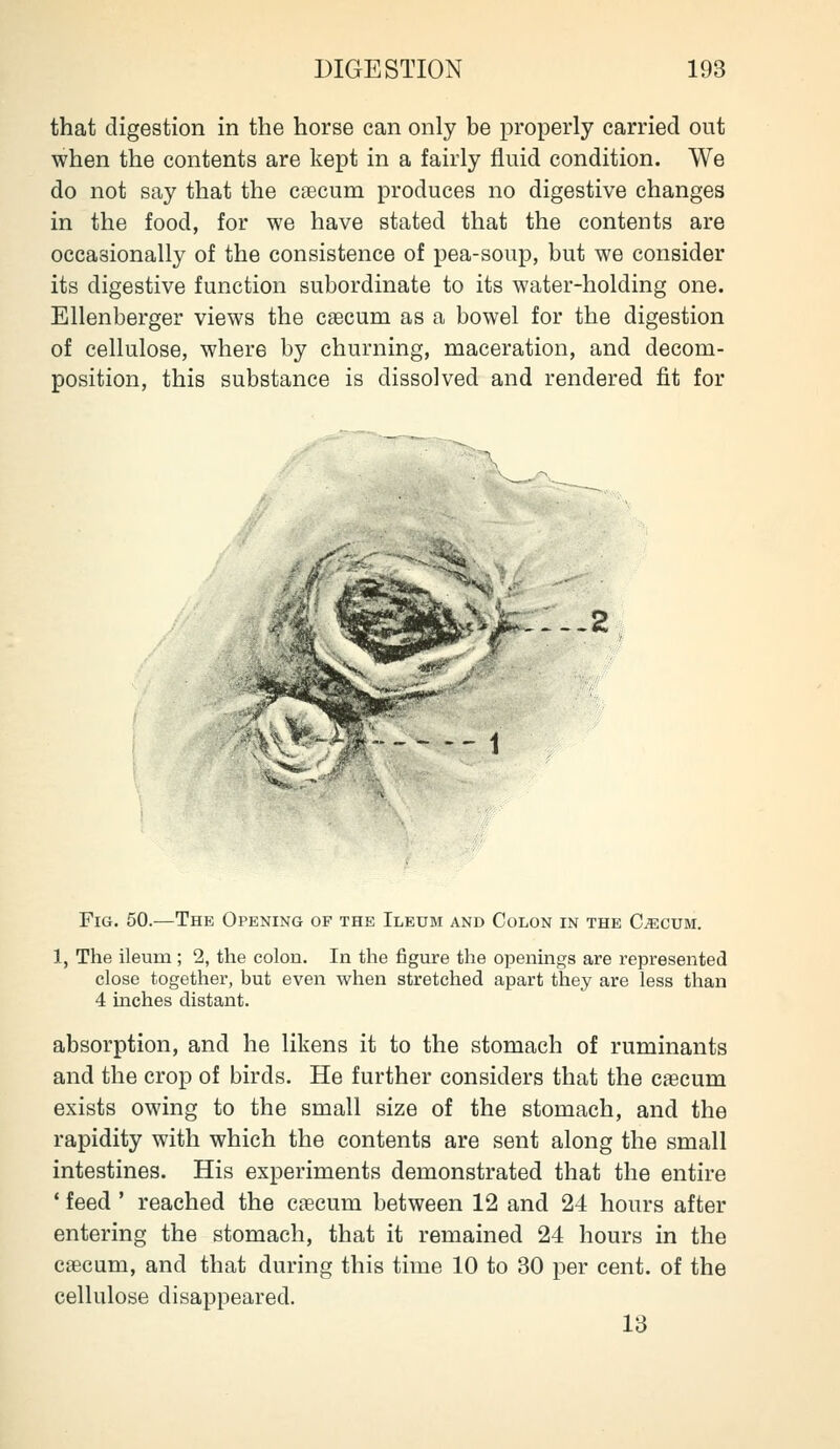 that digestion in the horse can only be properly carried out when the contents are kept in a fairly fluid condition. We do not say that the cnecum produces no digestive changes in the food, for we have stated that the contents are occasionally of the consistence of pea-soup, but we consider its digestive function subordinate to its water-holding one. Ellenberger views the caecum as a bowel for the digestion of cellulose, where by churning, maceration, and decom- position, this substance is dissolved and rendered fit for y -.-.2 Fig. 50.—The Opening of the Ileum and Colon in the C^cum. 1, The ileum ; 2, the colon. In the figure the openings are represented close together, but even when stretched apart they are less than 4 inches distant. absorption, and he likens it to the stomach of ruminants and the crop of birds. He further considers that the caecum exists owing to the small size of the stomach, and the rapidity with which the contents are sent along the small intestines. His experiments demonstrated that the entire ' feed ' reached the caecum between 12 and 24 hours after entering the stomach, that it remained 24 hours in the caecum, and that during this time 10 to 30 per cent, of the cellulose disappeared. 13