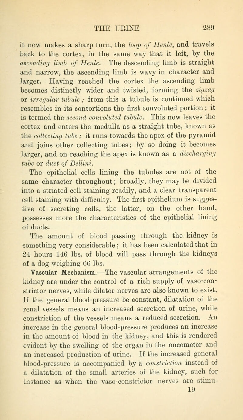 it now makes a sharp turn, the loop of Henle, and travels back to the cortex, in the same way that it left, by the ascending limb of Henle. The descending limb is straight and narrow, the ascending limb is wavy in character and larger. Having reached the cortex the ascending limb becomes distinctly wider and twisted, forming the zhjzag or irregular tubule,- from this a tubule is continued which resembles in its contortions the first convoluted portion ; it is termed the second convoluted tubule. This now leaves the cortex and enters the medulla as a straight tube, known as the collecting tiibe; it runs towards the apex of the pyramid and joins other collecting tubes; by so doing it becomes larger, and on reaching the apex is known as a discharging tube or duct of Bellini. The epithelial cells lining the tubules are not of the same character throughout; broadly, they may be divided into a striated cell staining readily, and a clear transparent cell staining with difficulty. The first epithelium is sugges- tive of secreting cells, the latter, on the other hand, possesses more the characteristics of the epithelial lining of ducts. The amount of blood passing through the kidney is something very considerable; it has been calculated that in 24 hours 1-46 lbs. of blood will pass through the kidneys of a dog weighing ii6 lbs. Vascular Mechanism.—The vascular arrangements of the kidney are under the control of a rich supply of vaso-con- strictor nerves, while dilator nerves are also known to exist. If the general blood-pressure be constant, dilatation of the renal vessels means an increased secretion of urine, while constriction of the vessels means a reduced secretion. An increase in the general blood-pressure produces an increase in the amount of blood in the kidney, and this is rendered evident by the swelling of the organ in the oncometer and an increased production of urine. If the increased general blood-pressure is accompanied by a constriction instead of a dilatation of the small arteries of the kidney, such for instance as when the vaso-constrictor nerves are stimu- 19