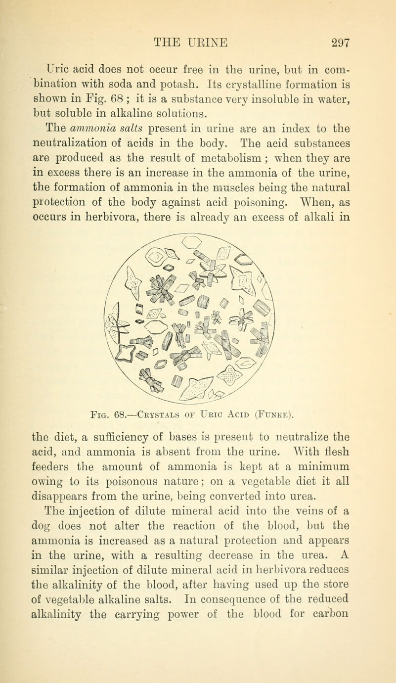 Uric acid does not occur free in the urine, but in com- bination with soda and potash. Its crystalHne formation is shown in Fig. 68 ; it is a substance very insoluble in water, but soluble in alkaline solutions. The ammonia salts present in urine are an index to the neutralization of acids in the body. The acid substances are produced as the result of metabolism ; when they are in excess there is an increase in the ammonia of the urine, the formation of ammonia in the muscles being the natural protection of the body against acid poisoning. When, as occurs in herbivora, there is already an excess of alkali in Fig. 68.—Crystals of Uric Acid (Funke). the diet, a sufficiency of bases is present to neutralize the acid, and ammonia is absent from the urine. With flesh feeders the amount of ammonia is kept at a minimum owing to its poisonous nature; on a vegetable diet it all disappears from the urine, being converted into urea. The injection of dilute mineral acid into the veins of a dog does not alter the reaction of the blood, but the ammonia is increased as a natural protection and appears in the urine, with a resulting decrease in the urea. A similar injection of dilute mineral acid in herbivora reduces the alkalinity of the blood, after having used up the store of vegetable alkaline salts. In consequence of the reduced alkalinity the carrying power of the blood for carbon