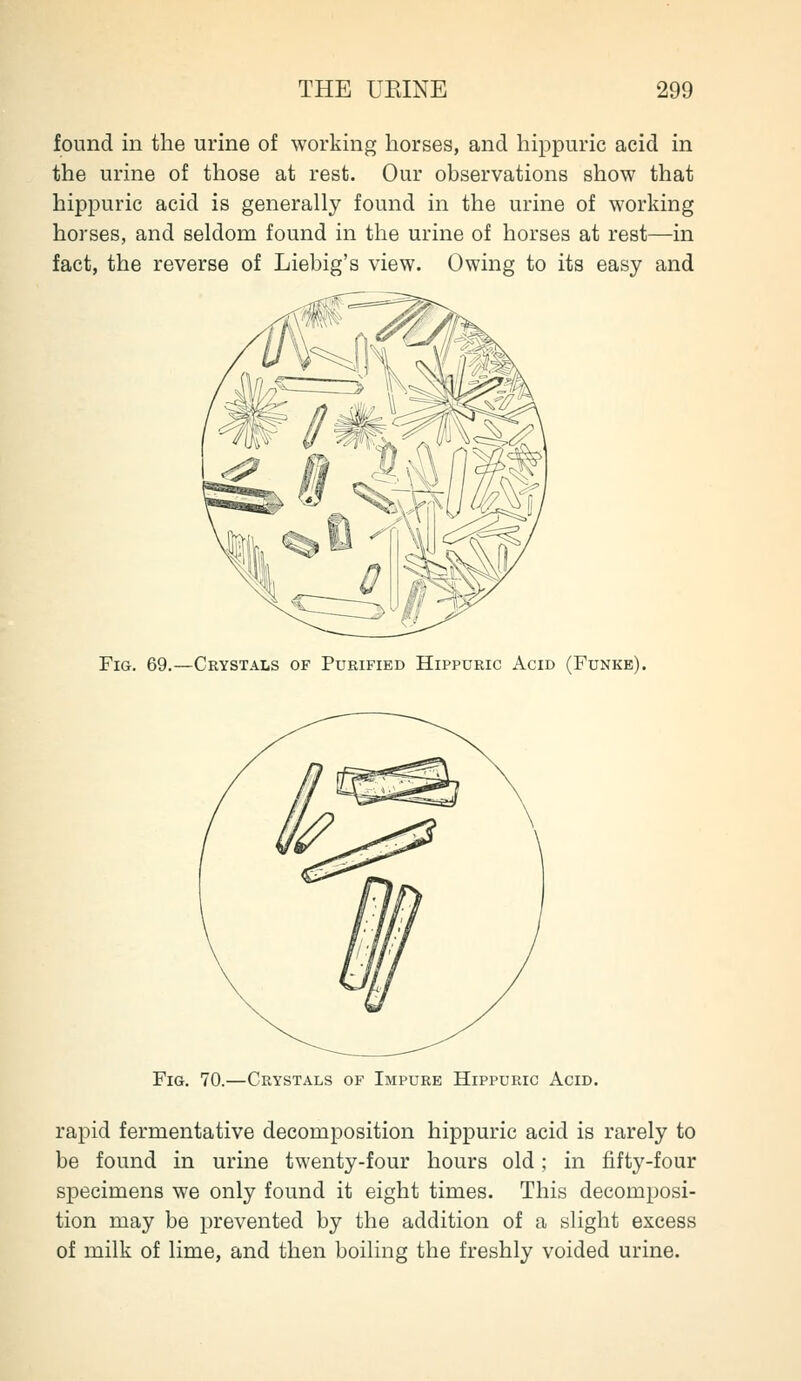 found in the urine of working horses, and hippuric acid in the urine of those at rest. Our observations show that hippuric acid is generally found in the urine of working horses, and seldom found in the urine of horses at rest—in fact, the reverse of Liebig's view. Owing to its easy and Fig. 69.—Crystals of Purified Hippuric Acid (Funke). Fig. 70.—Crystals of Impure Hippuric Acid. rapid fermentative decomposition hippuric acid is rarely to be found in urine twenty-four hours old; in fifty-four specimens we only found it eight times. This decomposi- tion may be prevented by the addition of a slight excess of milk of lime, and then boiling the freshly voided urine.