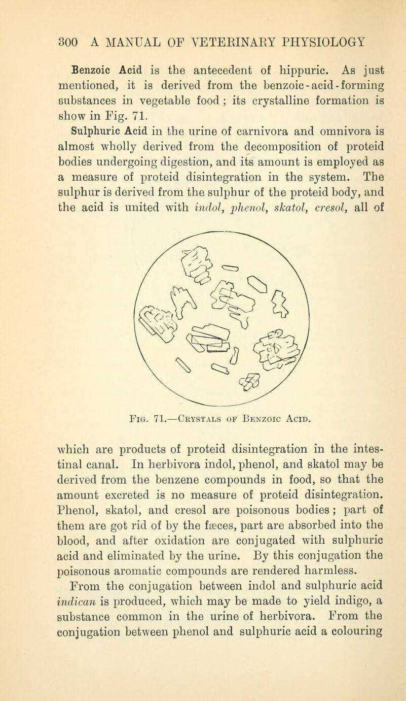 Benzoic Acid is the antecedent of hippuric. As just mentioned, it is derived from the benzoic-acid-forming substances in vegetable food ; its crystalline formation is show in Fig. 71. Sulphuric Acid in the urine of carnivora and omnivora is almost wholly derived from the decomposition of proteid bodies undergoing digestion, and its amount is employed as a measure of proteid disintegration in the system. The sulphur is derived from the sulphur of the proteid body, and the acid is united with indol, phenol, skatol, cresol, all of Fig. 71.—Crystals of Benzoic Acid. which are products of proteid disintegration in the intes- tinal canal. In herbivora indol, phenol, and skatol may be derived from the benzene compounds in food, so that the amount excreted is no measure of proteid disintegration. Phenol, skatol, and cresol are poisonous bodies ; part of them are got rid of by the faeces, part are absorbed into the blood, and after oxidation are conjugated with sulphuric acid and eliminated by the urine. By this conjugation the poisonous aromatic compounds are rendered harmless. From the conjugation between indol and sulphuric acid indican is produced, which may be made to yield indigo, a substance common in the urine of herbivora. From the conjugation between phenol and sulphuric acid a colouring